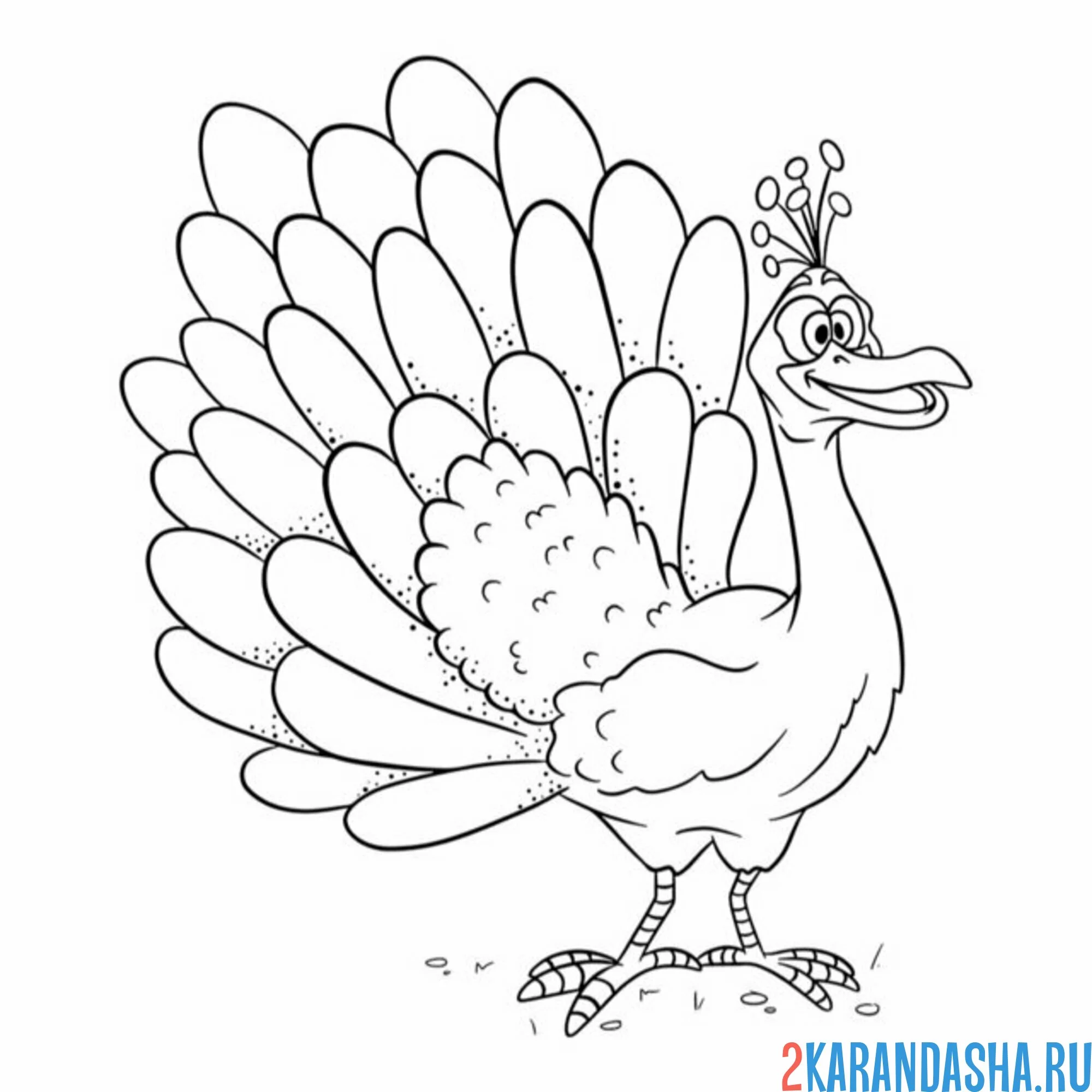 Раскраска смешной павлин