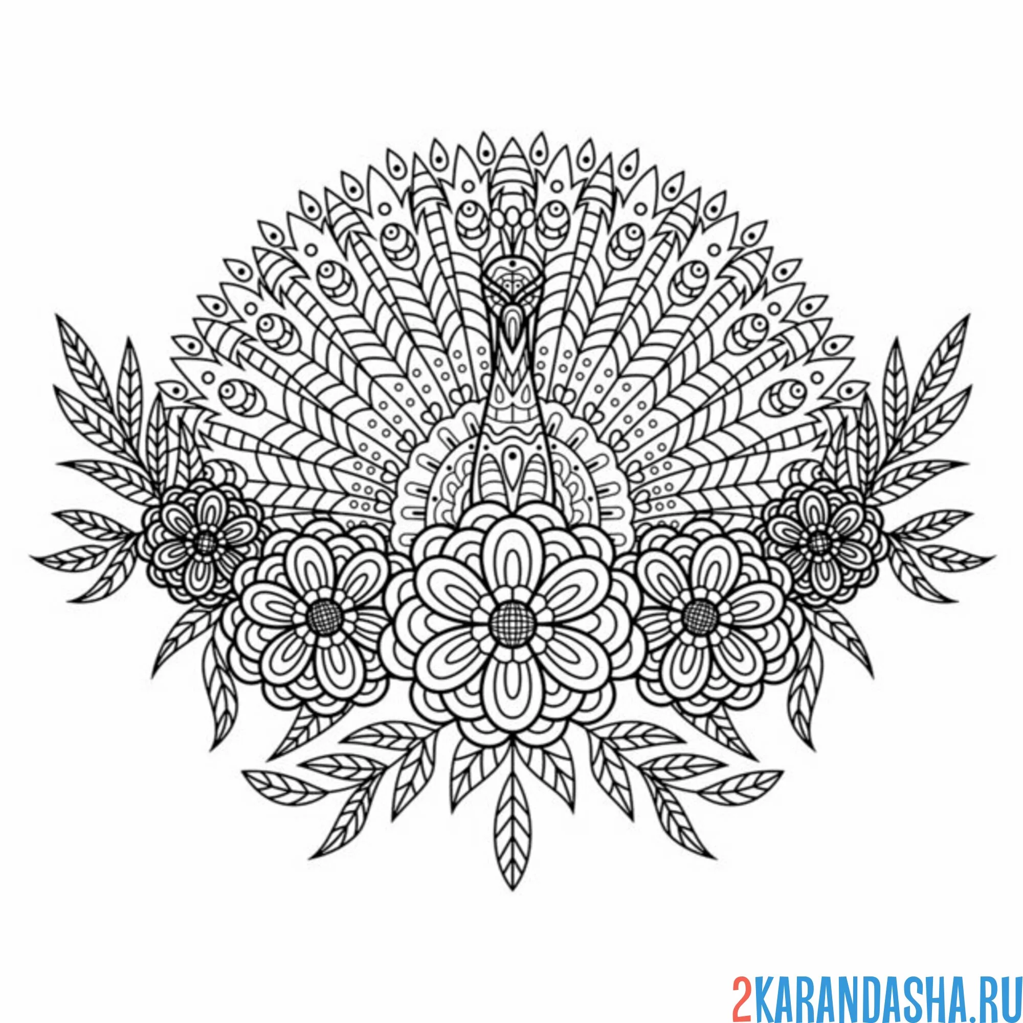 Раскраска антистресс сложный павлин