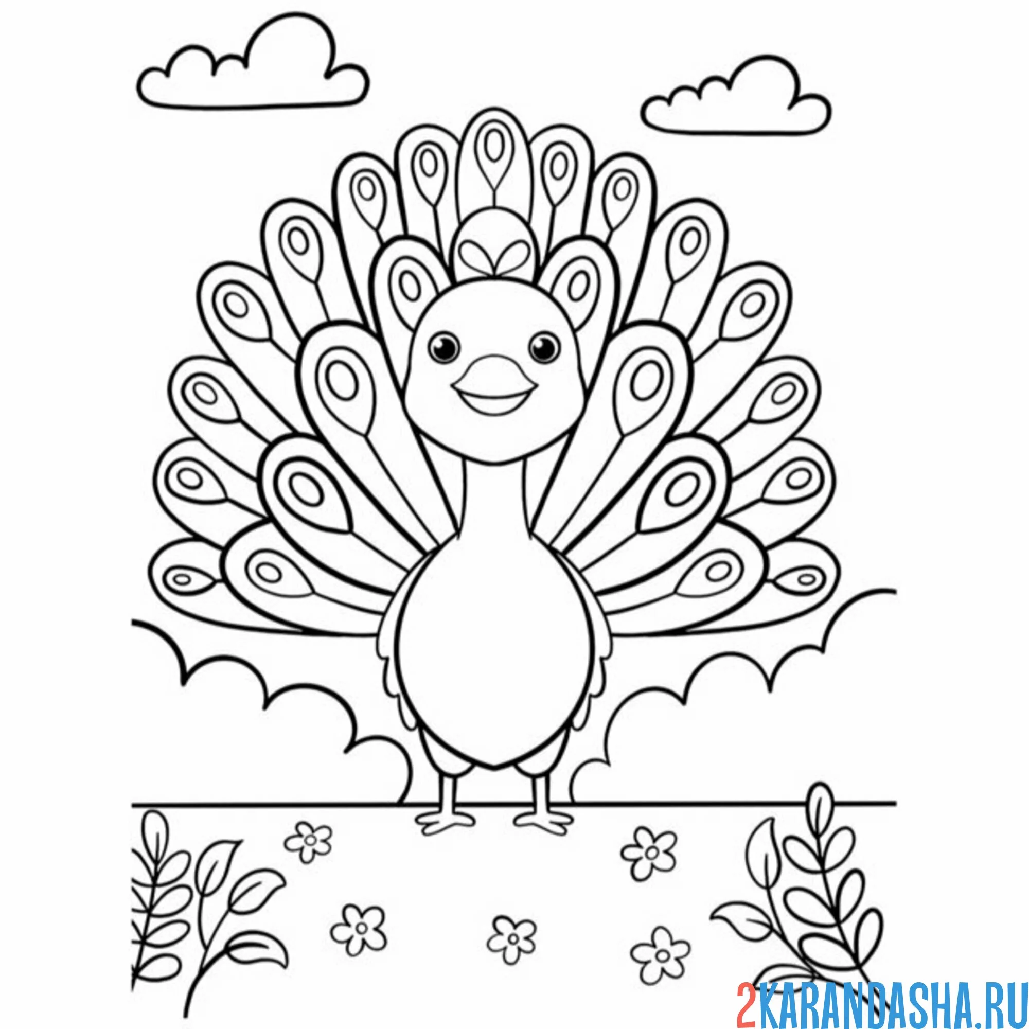 Раскраска павлин для малышей