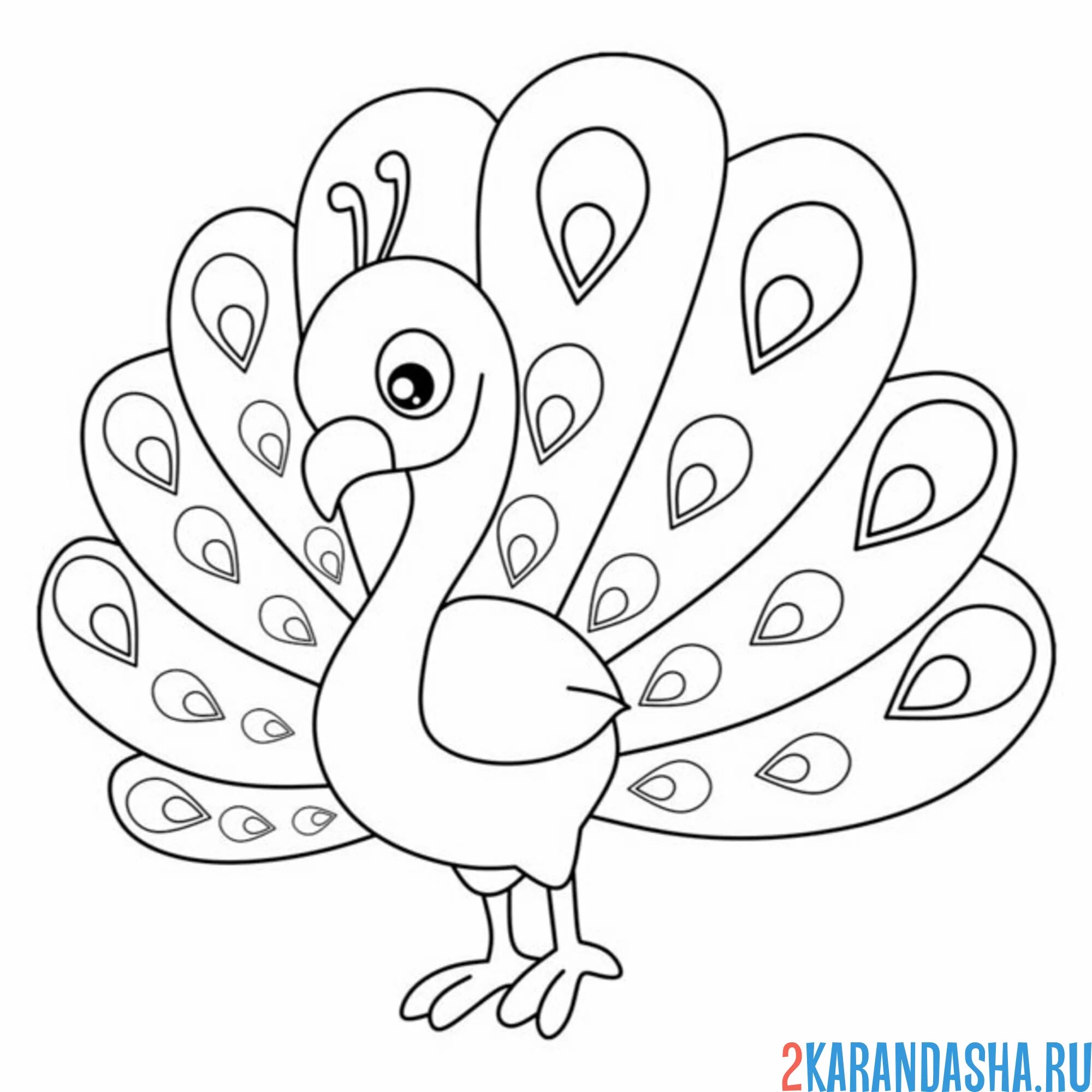 Раскраска детский рисунок павлин