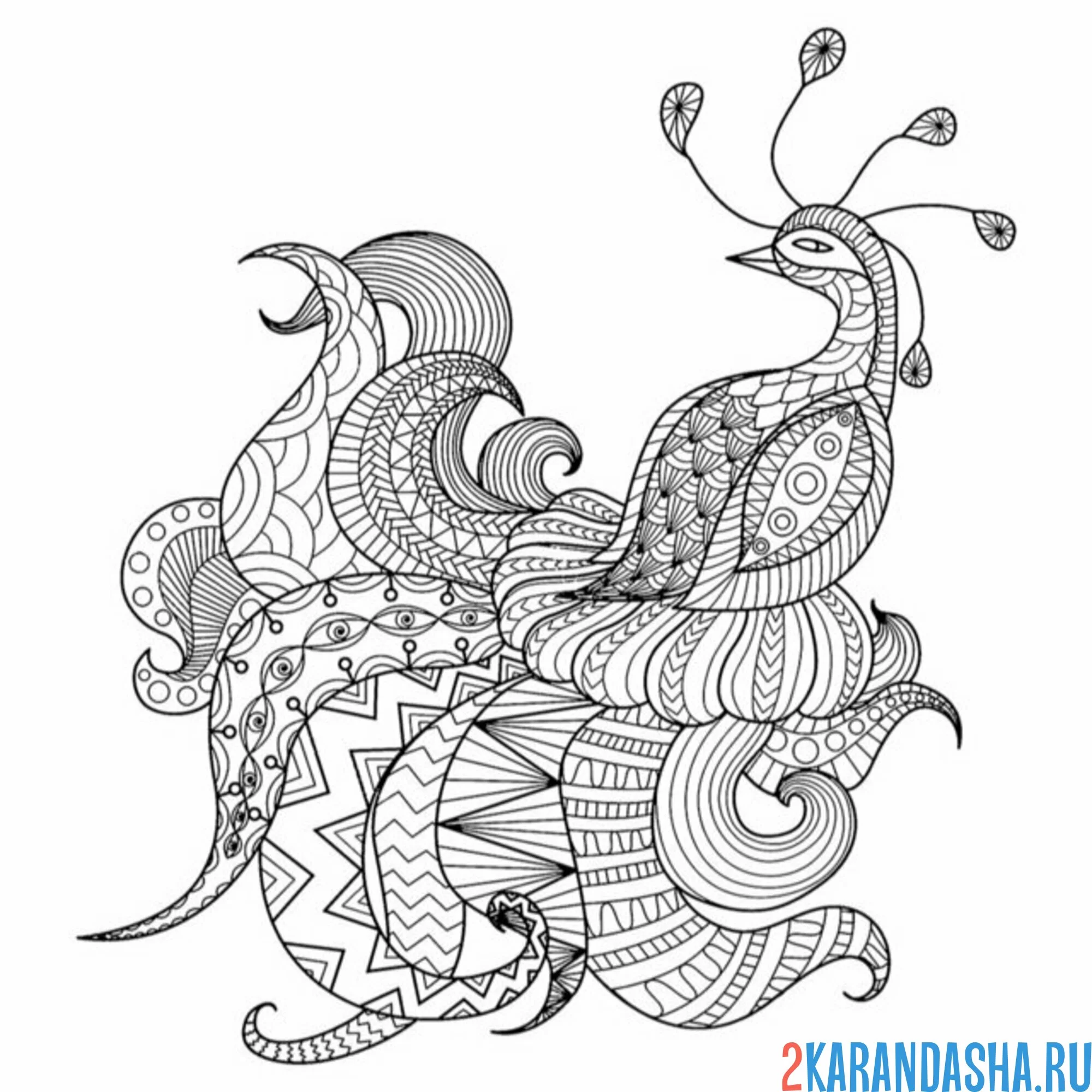 Раскраска павлин жар-птица