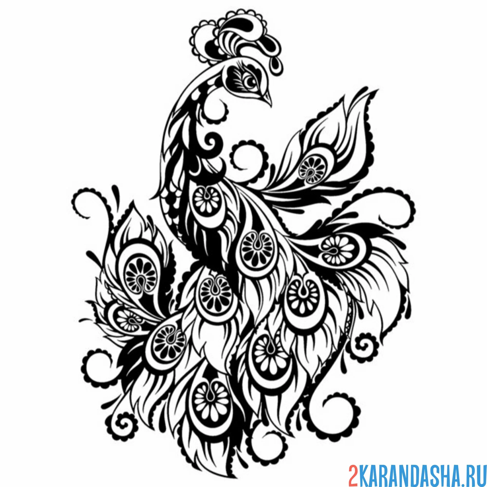 Раскраска узоры винтаж павлин