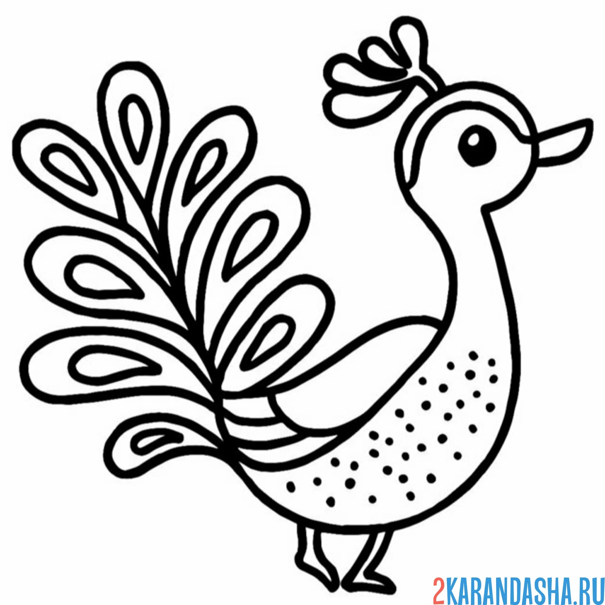Раскраска павлин птица для малышей