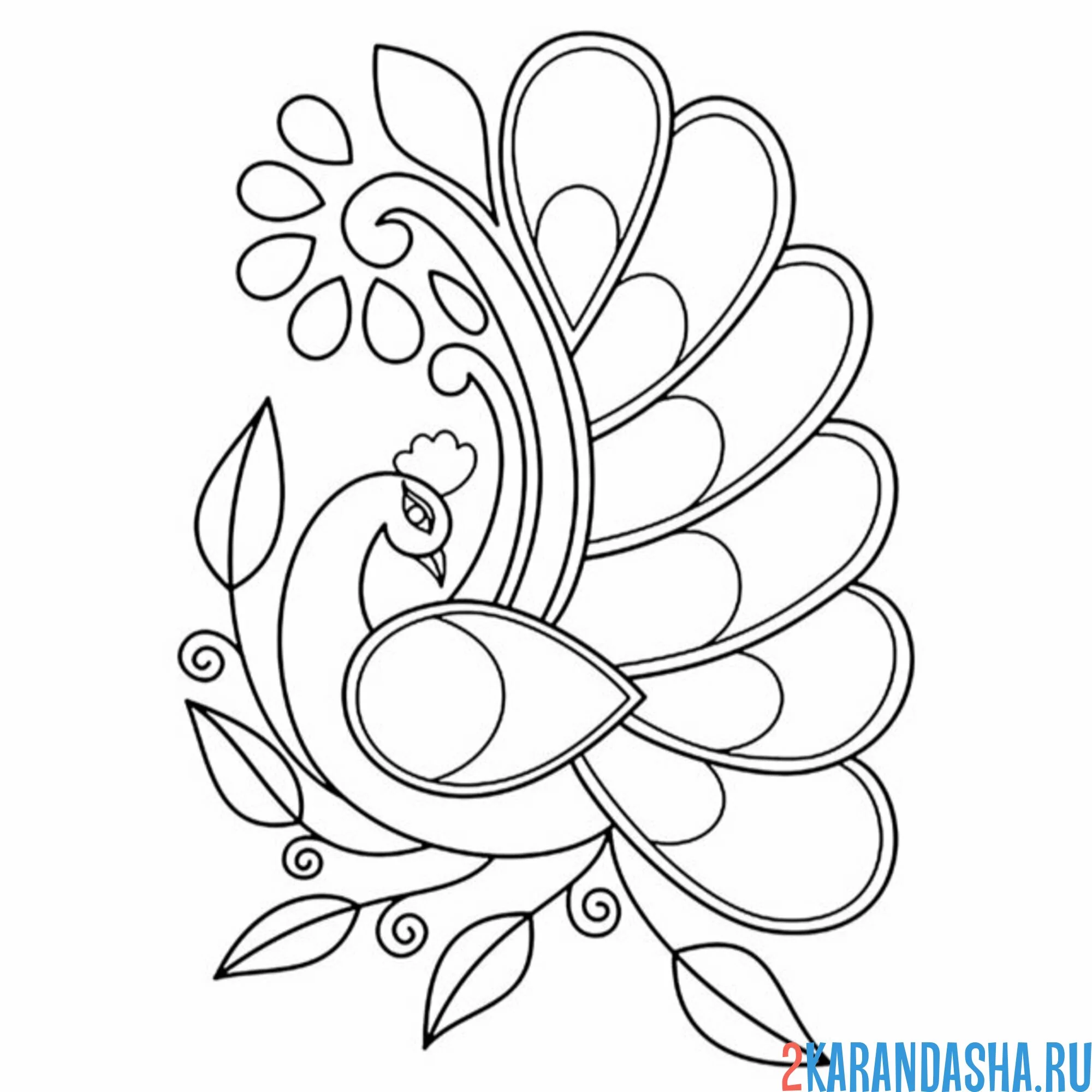 Раскраска павлин мотивы