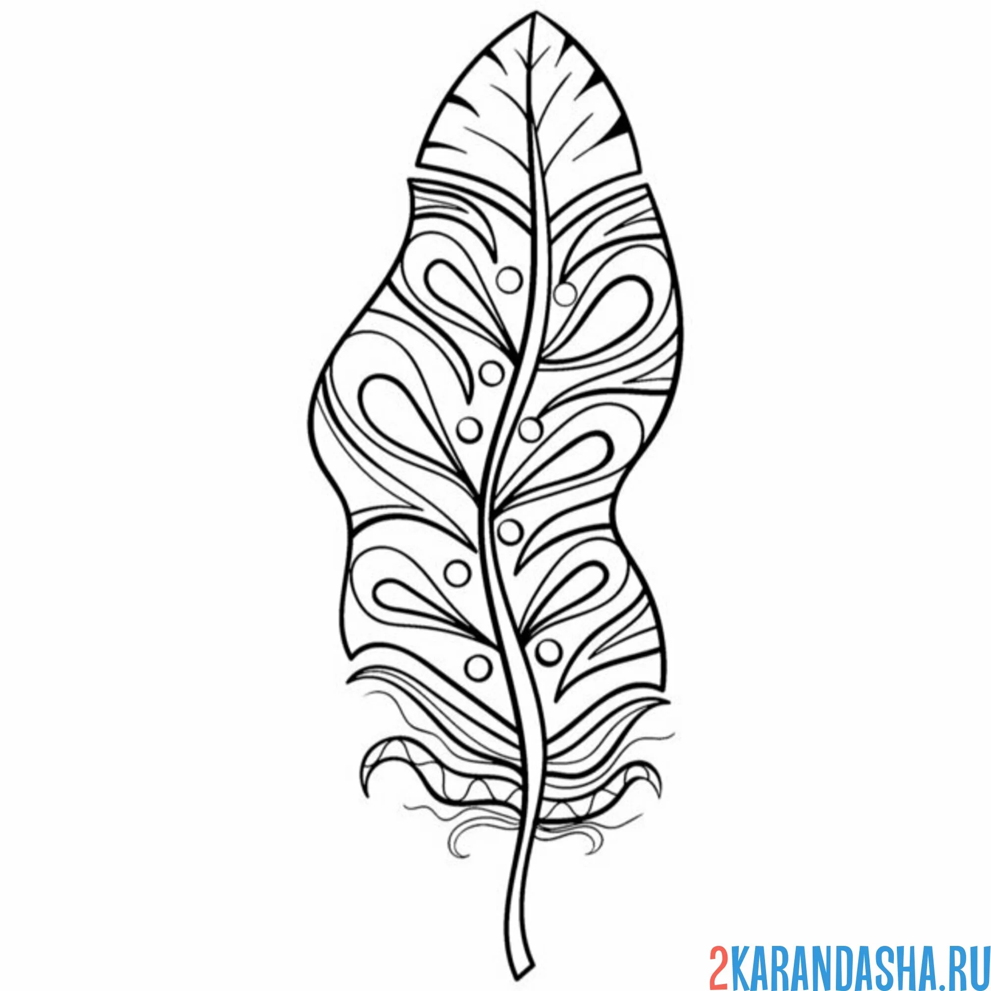 Раскраска павлин перо антистресс