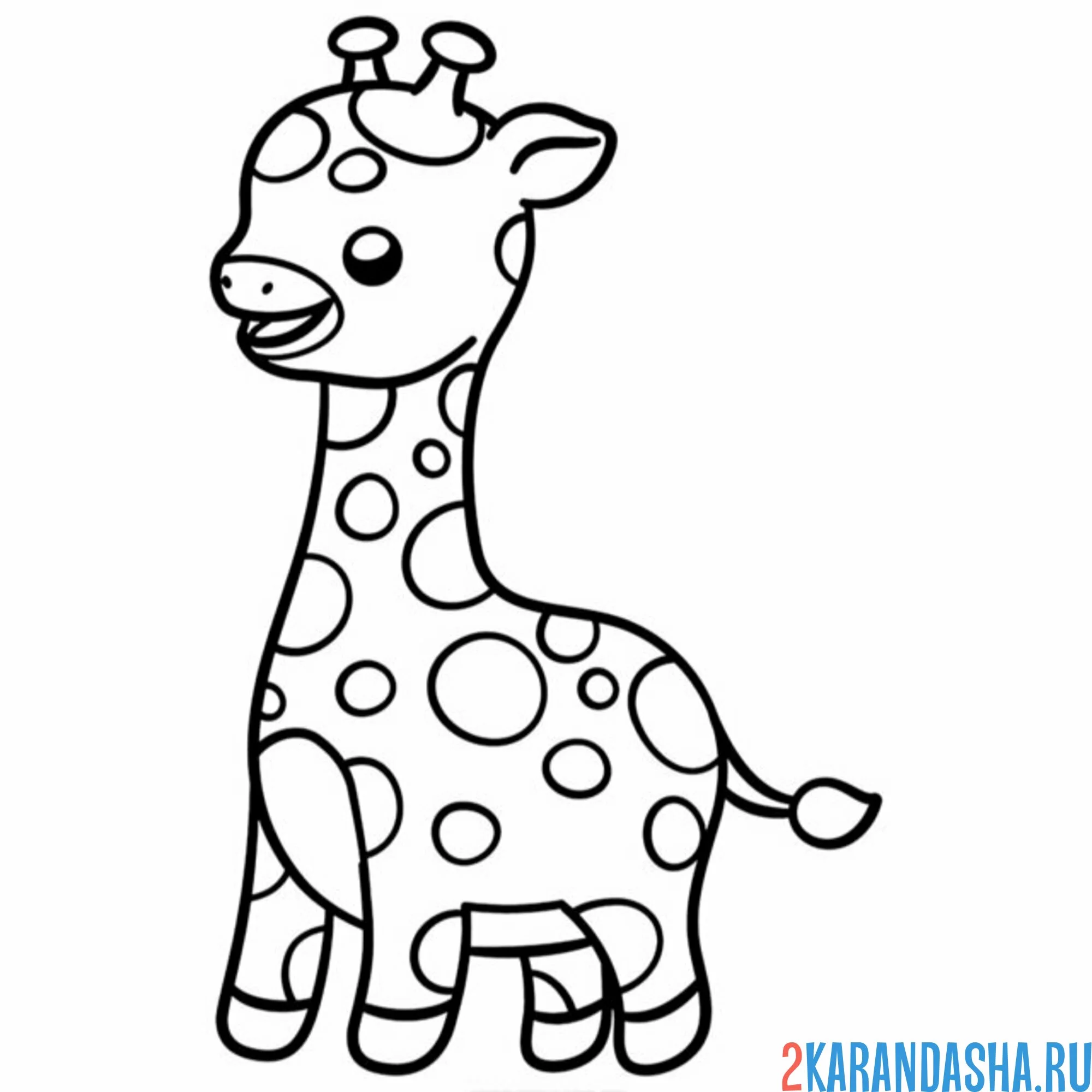 Раскраска жираф для малышей