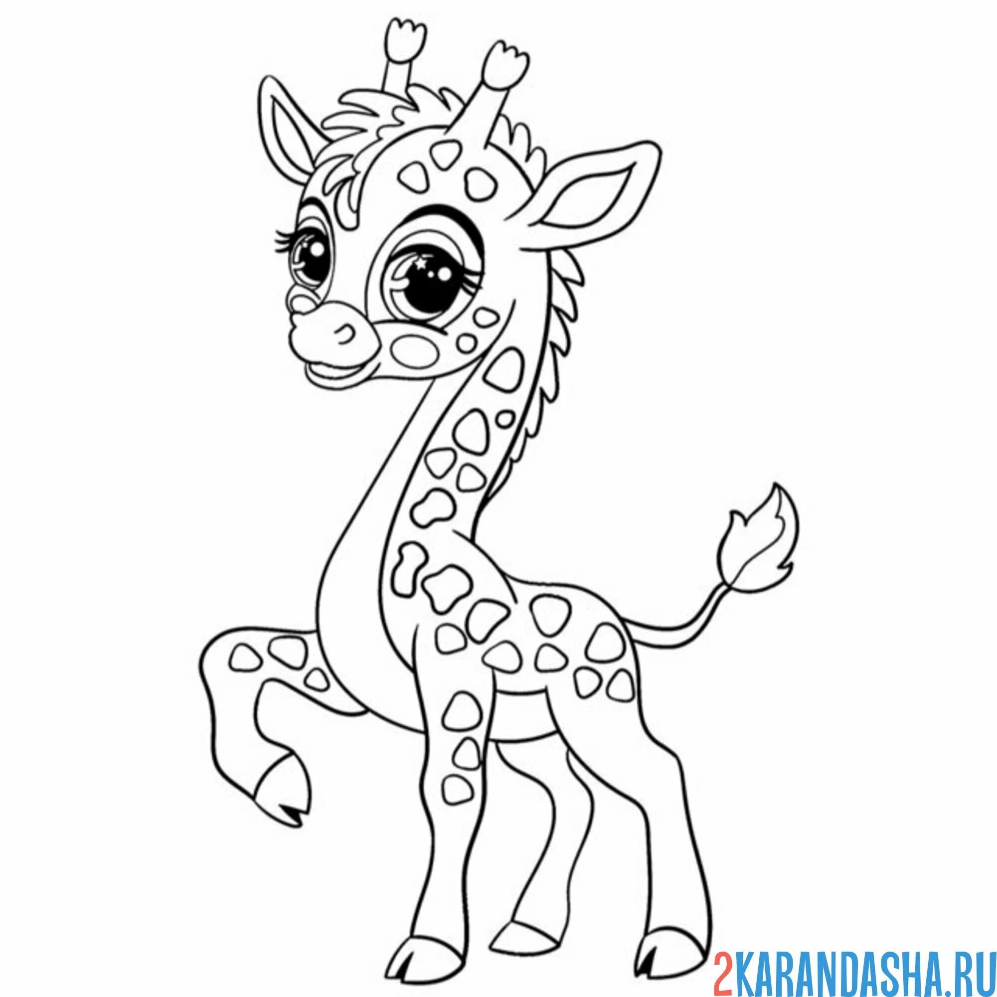 Раскраска милый жираф с большими глазами