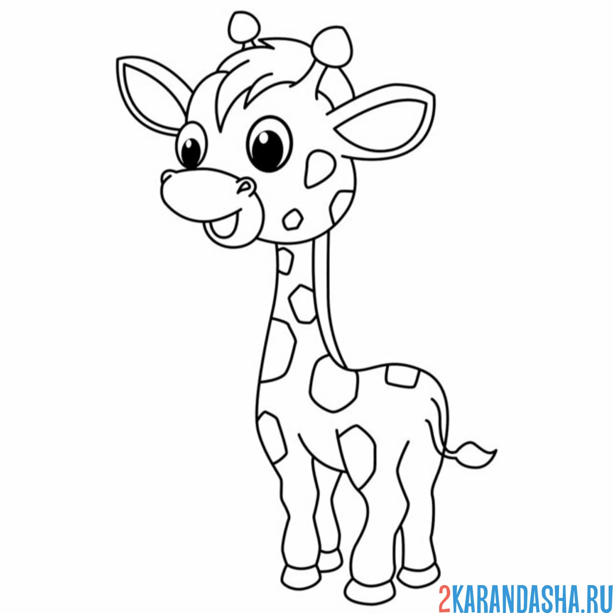 Раскраска жираф простой рисунок