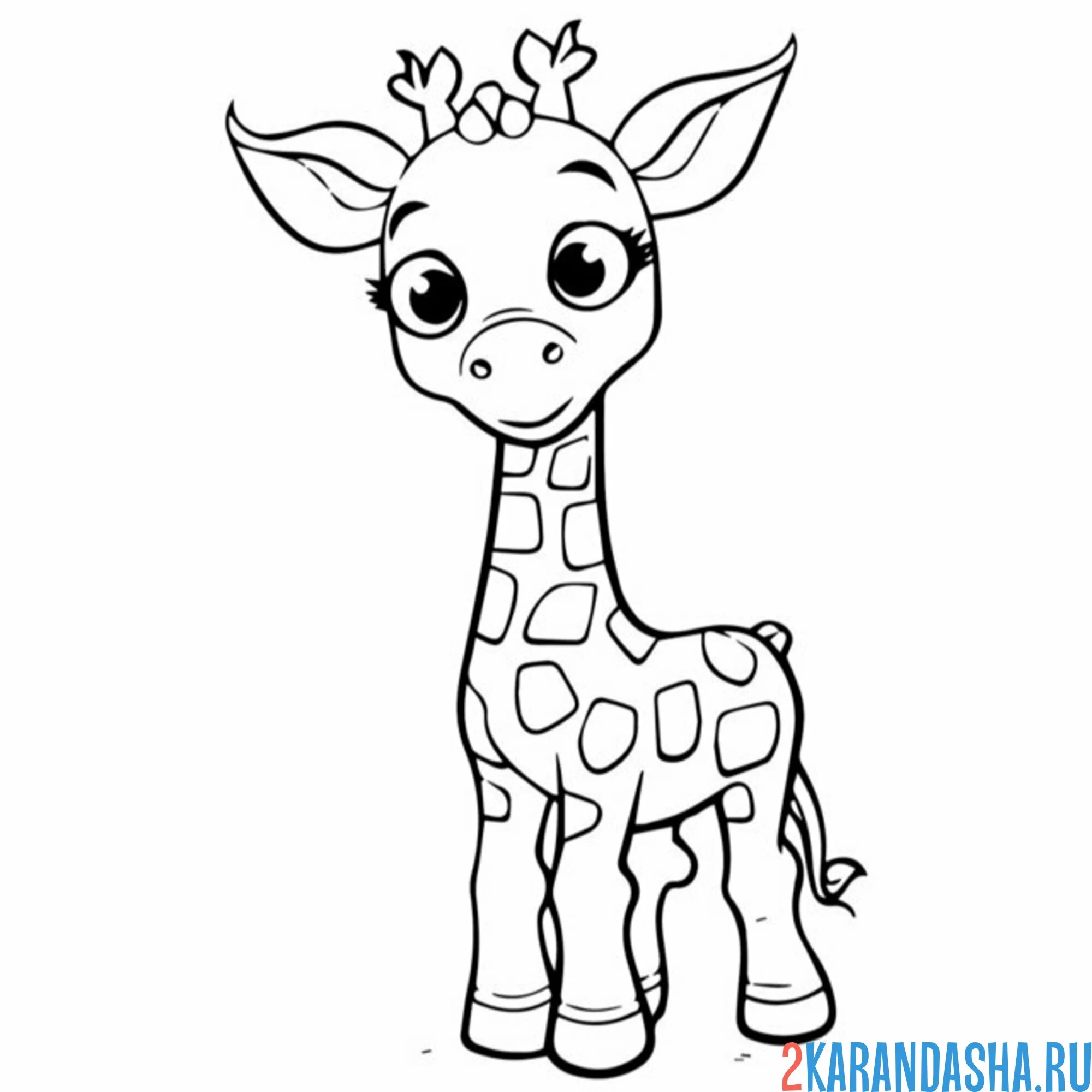 Раскраска жираф милейший