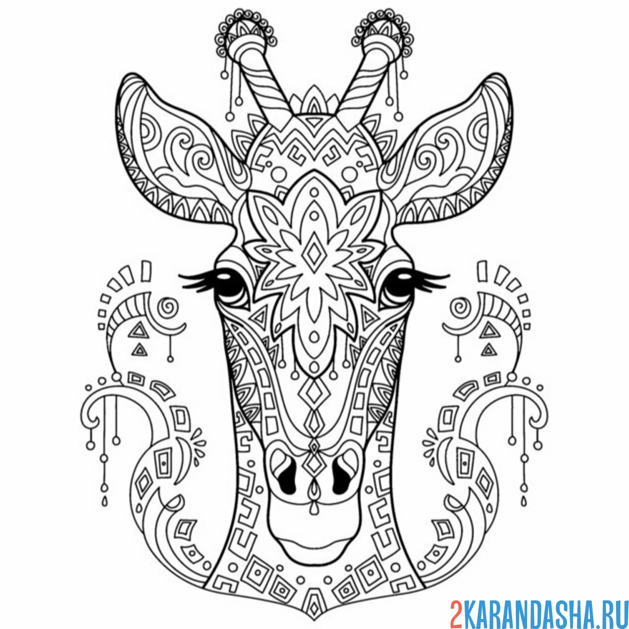 Раскраска голова жирафа антистресс