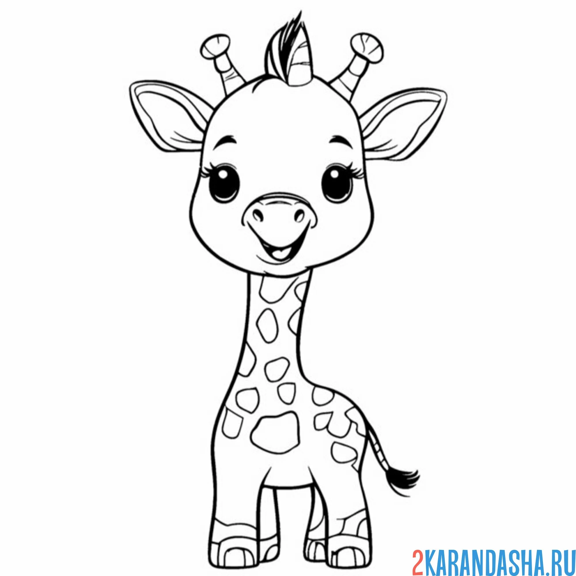 Раскраска малышка жираф