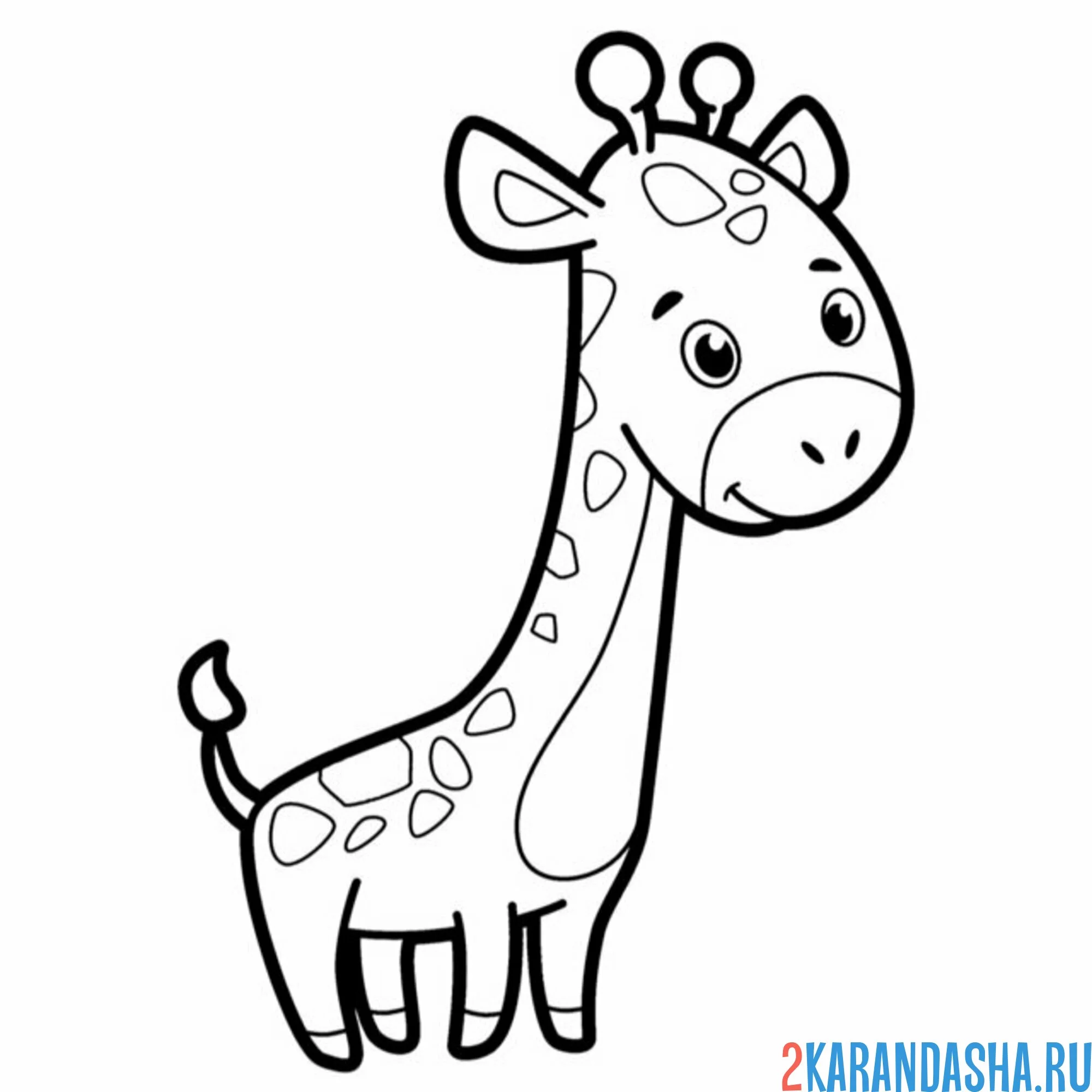 Раскраска малыш-жирафик сбоку