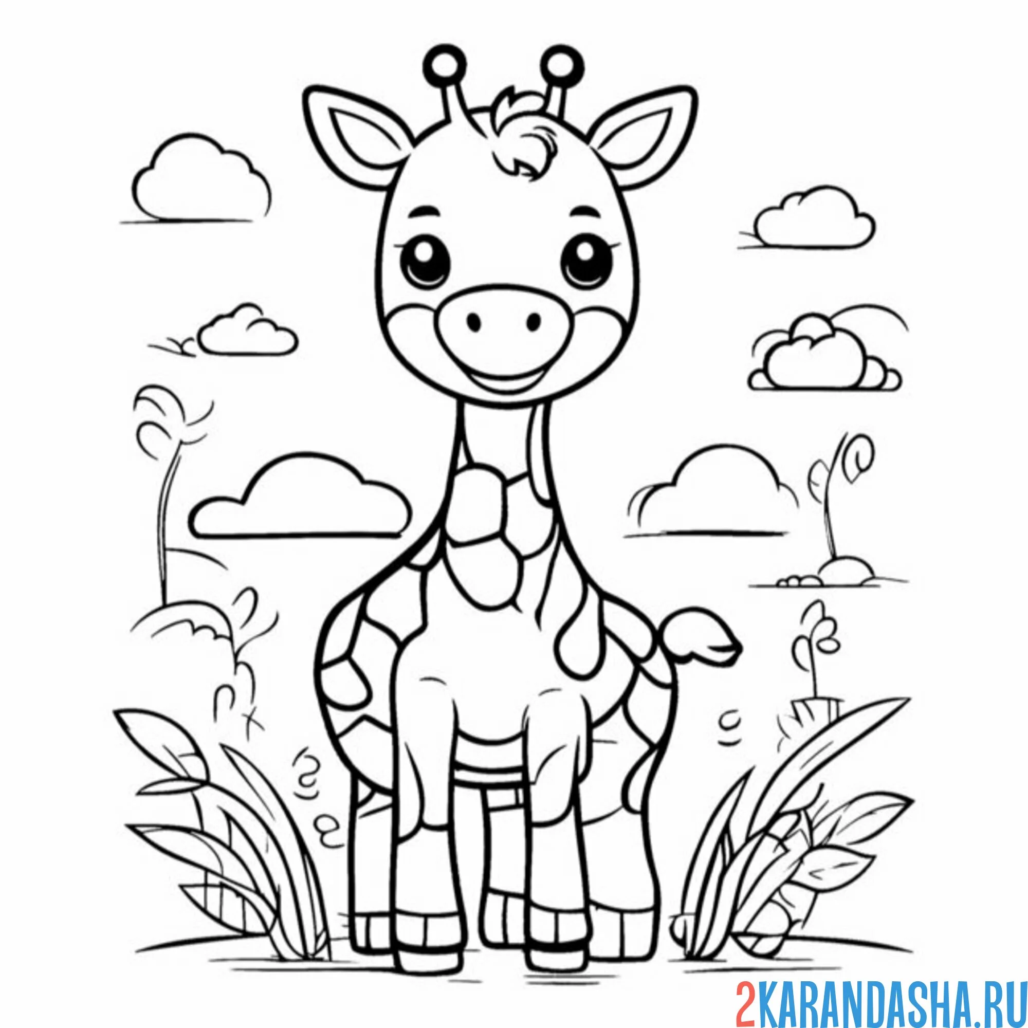 Раскраска жираф на природе
