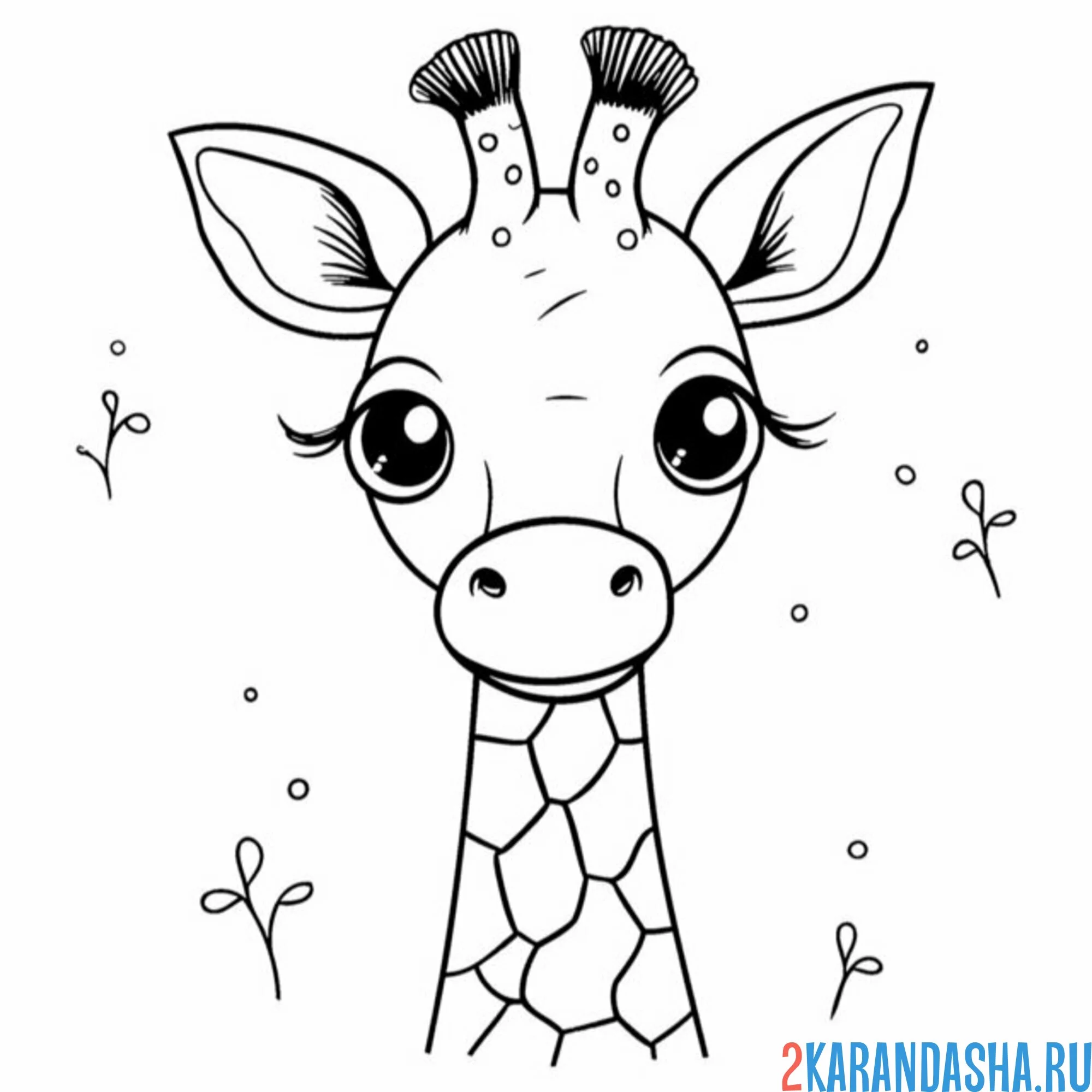 Раскраска красивая голова жирафа