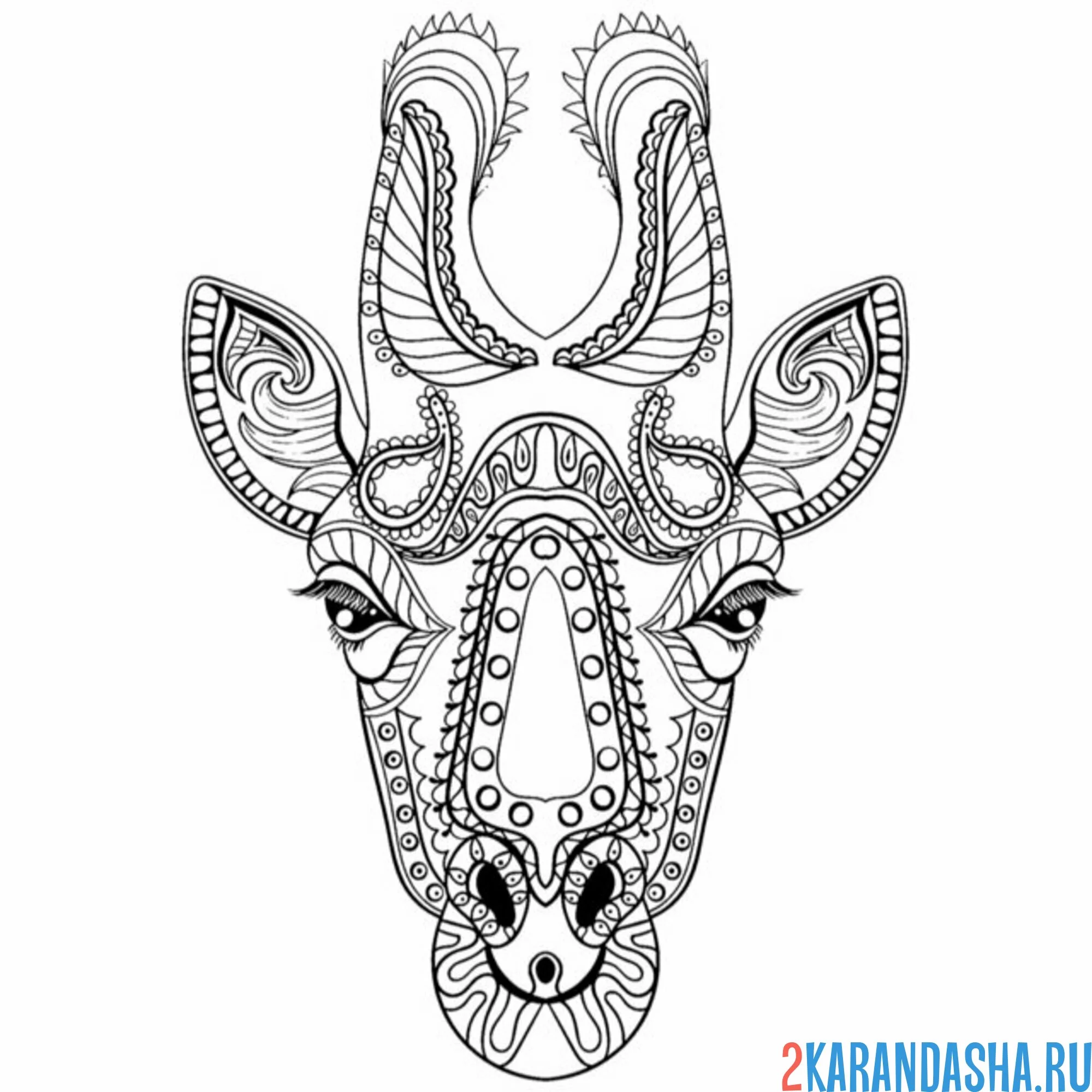 Раскраска голова жирафа арт