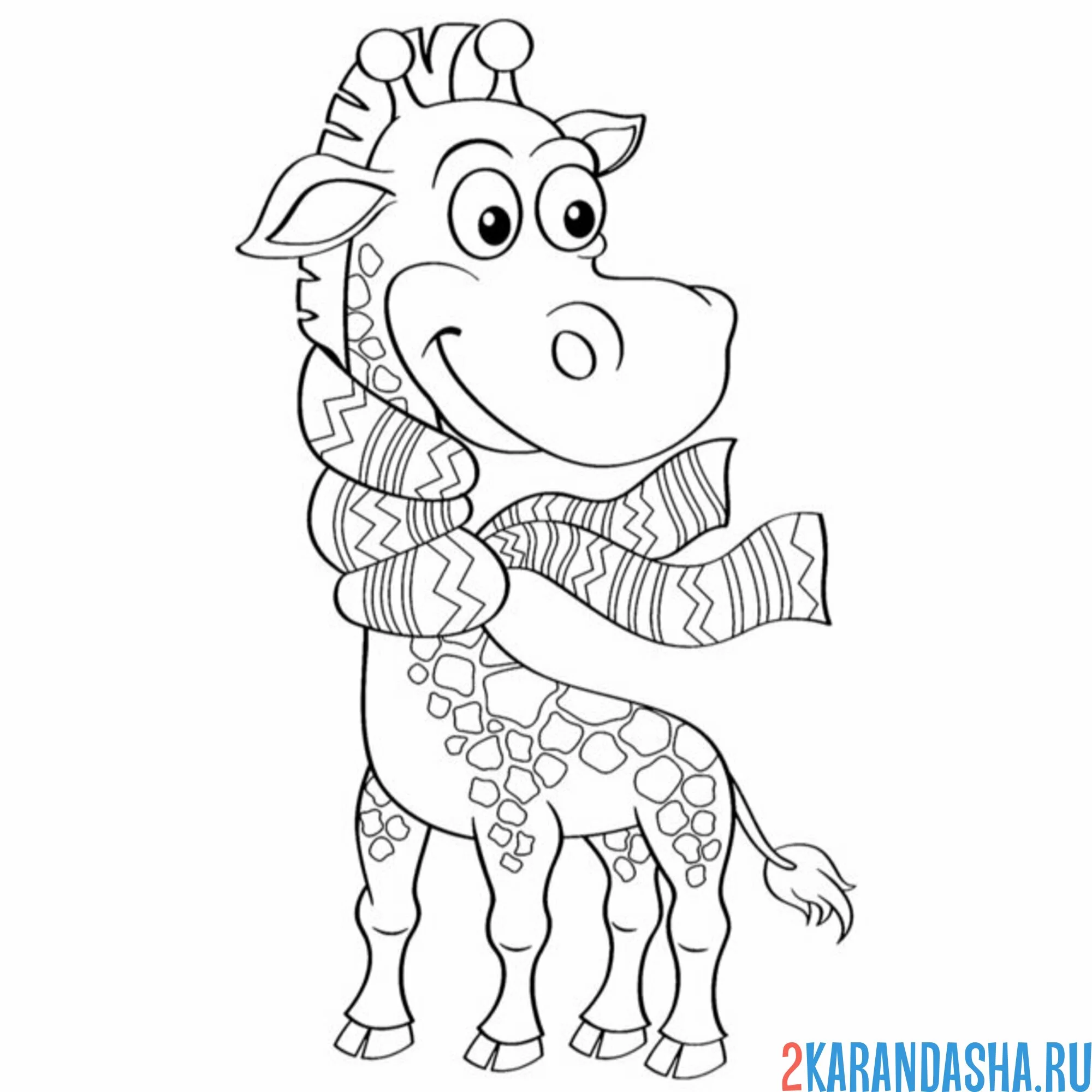 Раскраска жираф в шарфе