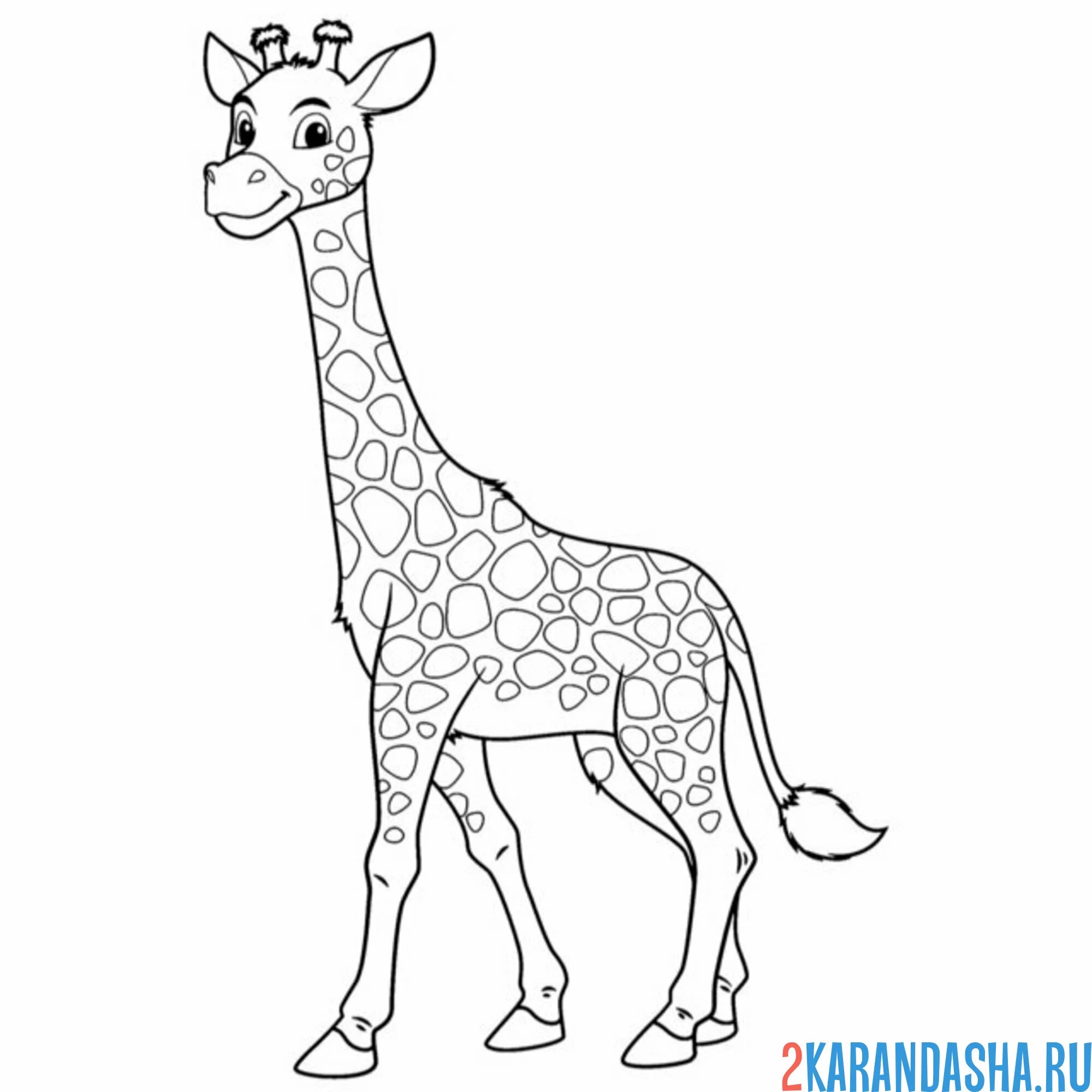 Раскраска симпатичный жираф