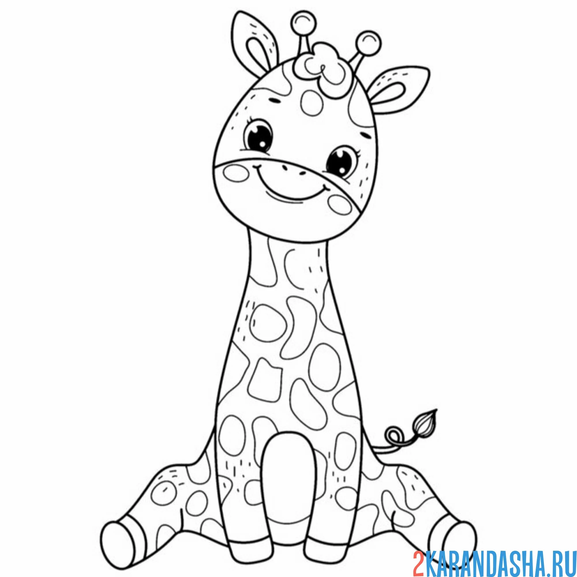 Раскраска жираф расселся