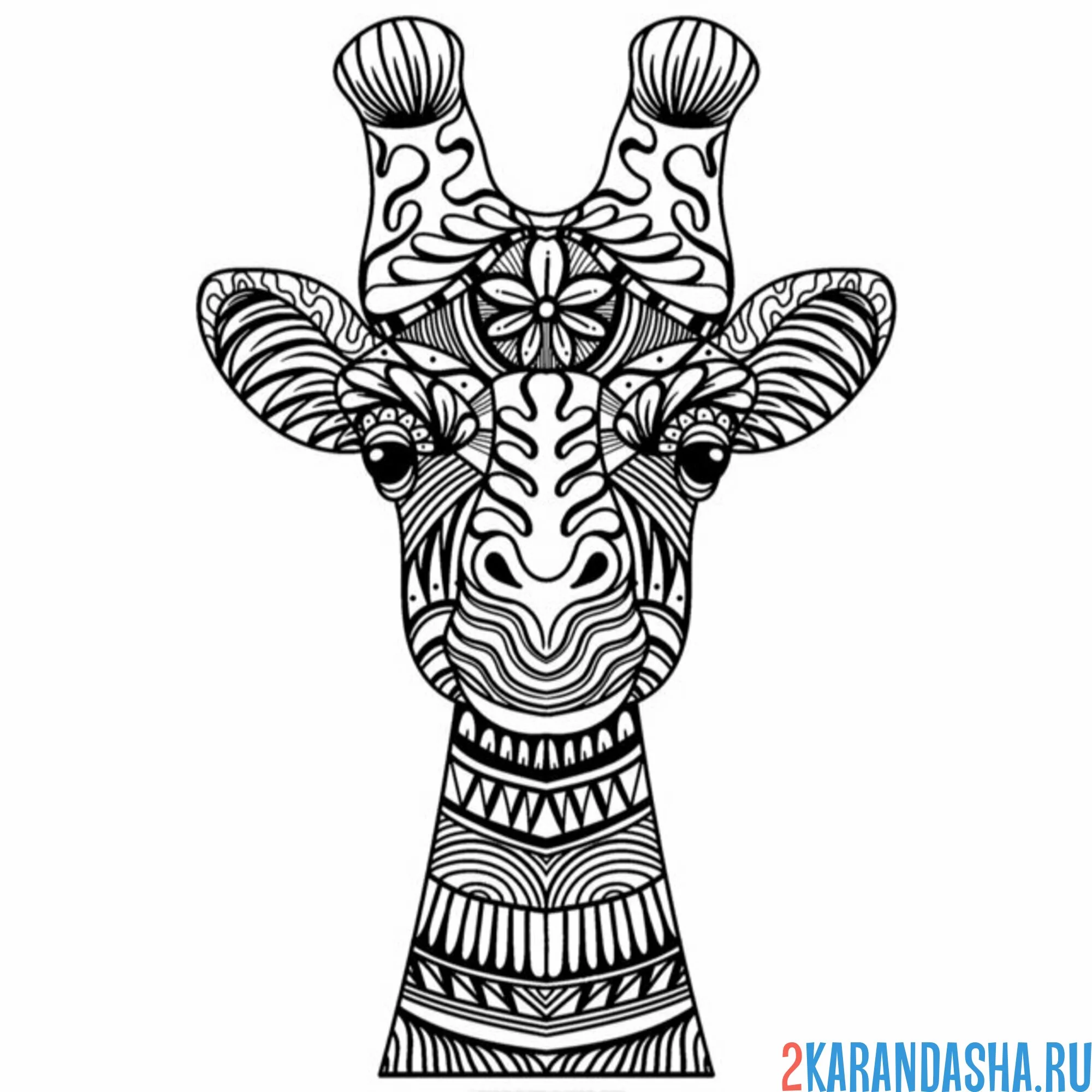 Раскраска арт-антистресс жираф