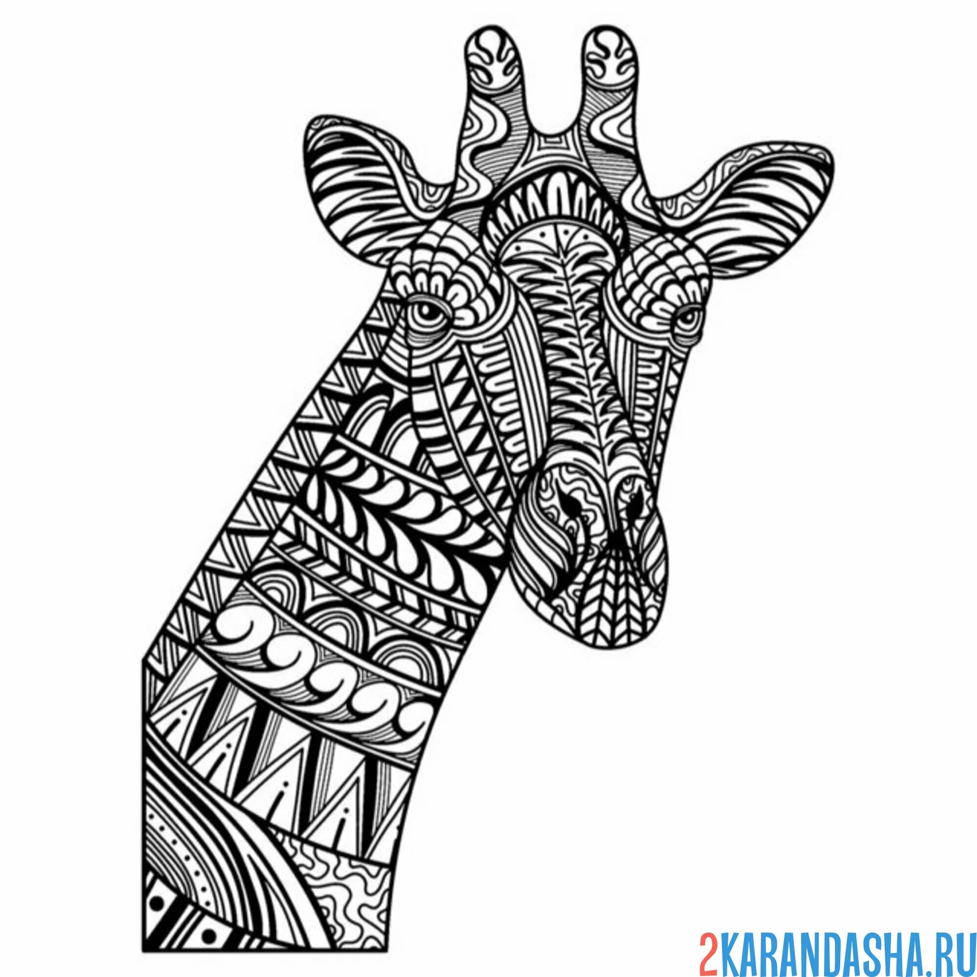 Раскраска жираф в виде антистресс