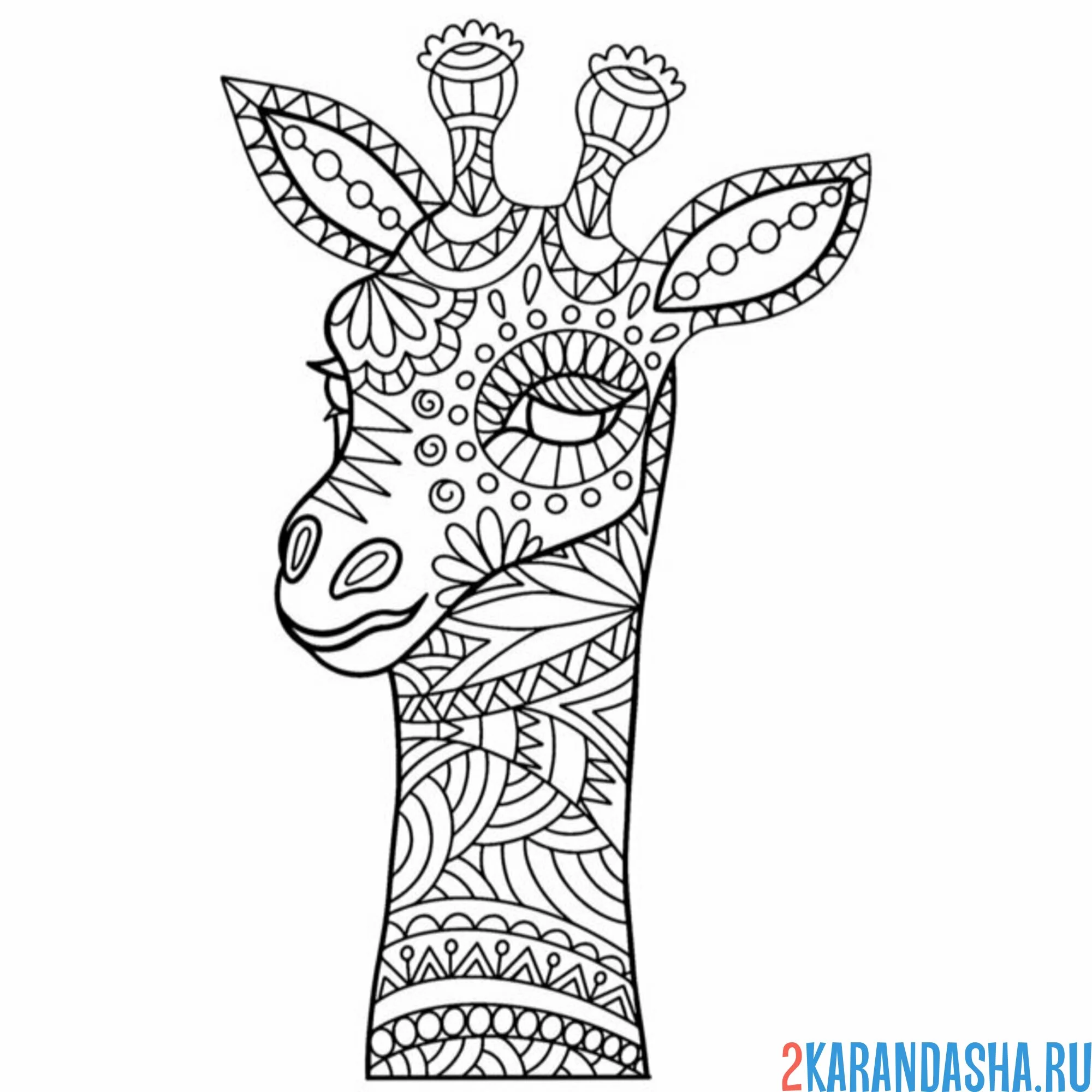 Раскраска жираф узоры антистресс