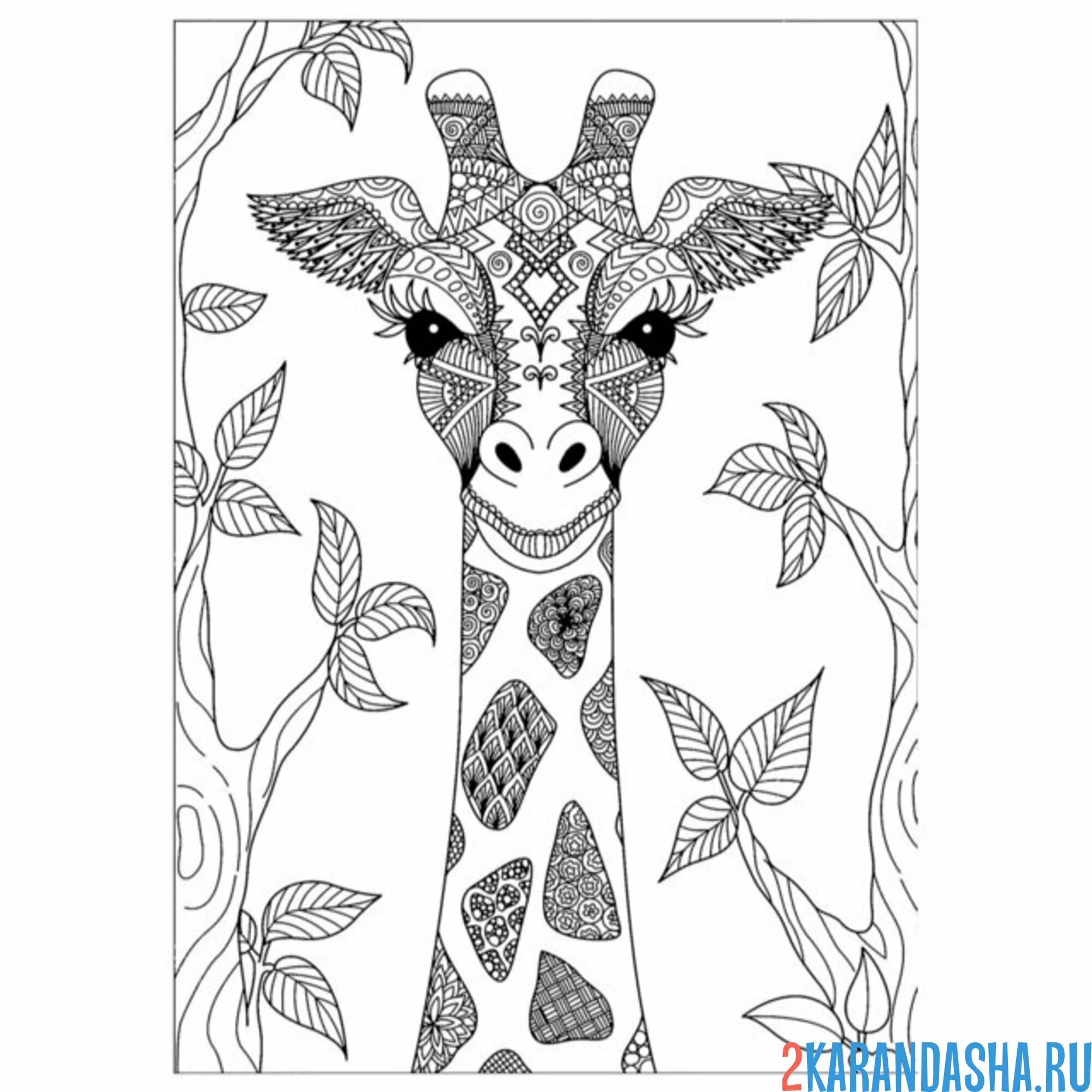 Раскраска жираф арт-антистресс