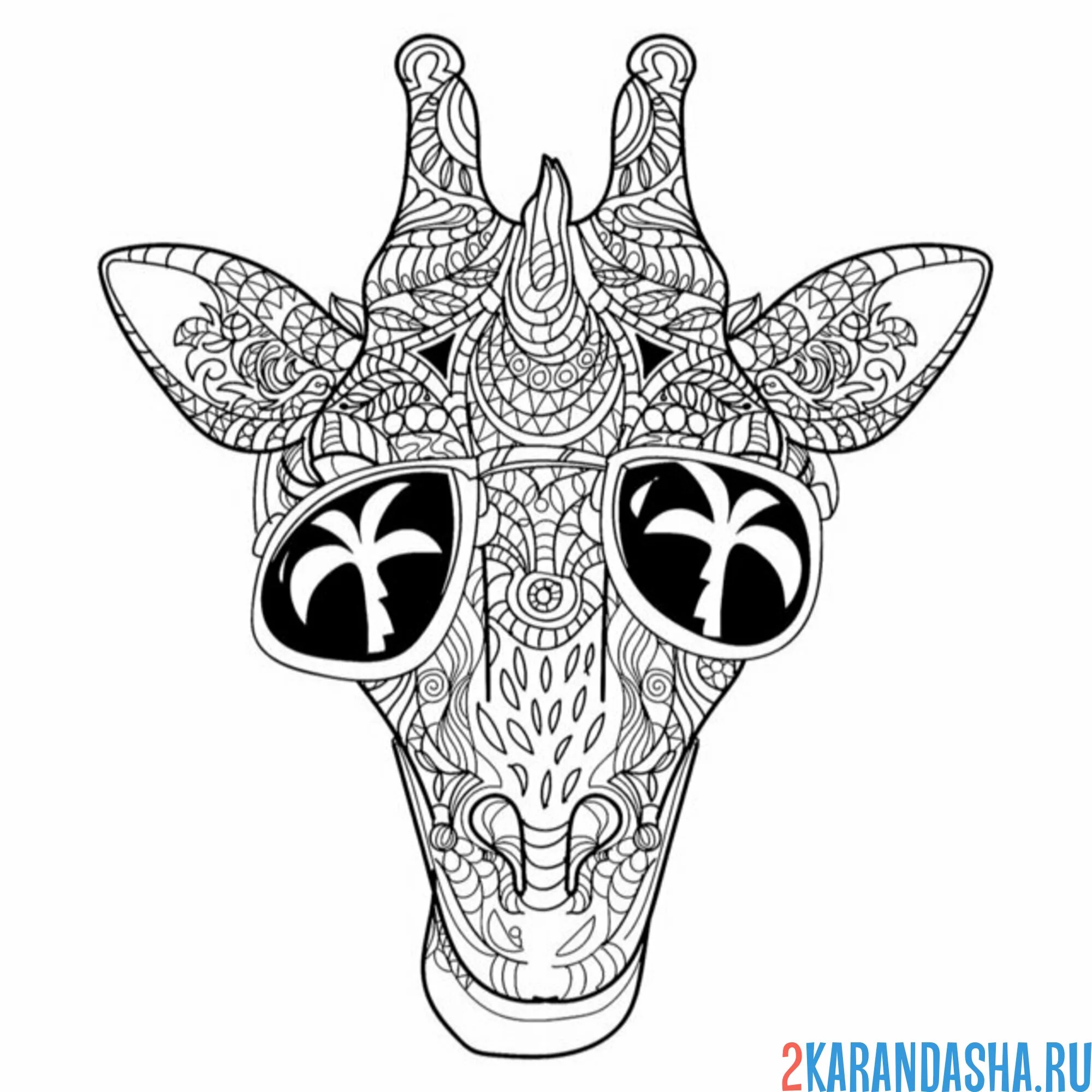 Раскраска жираф в очках авиаторах