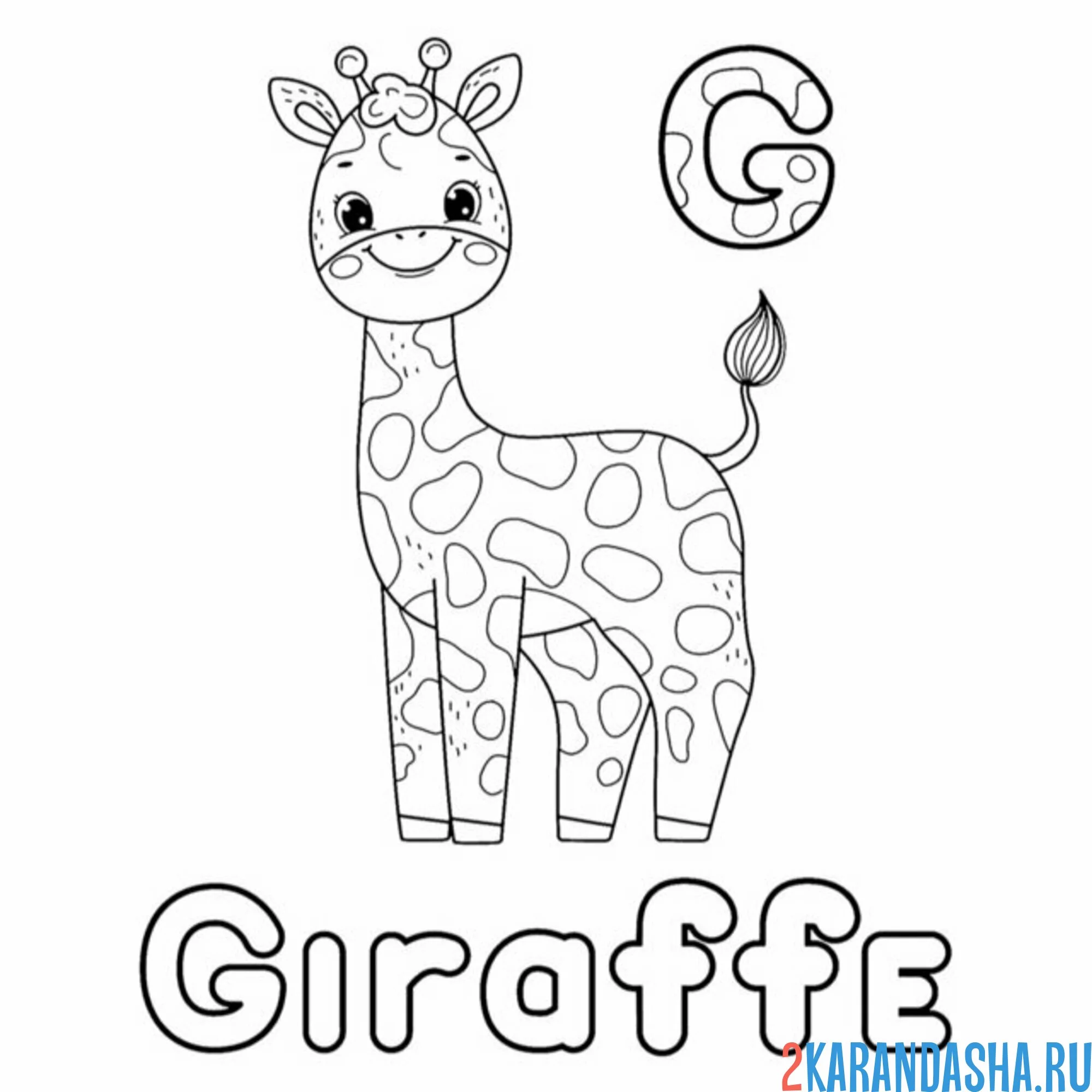 Раскраска жираф giraffe