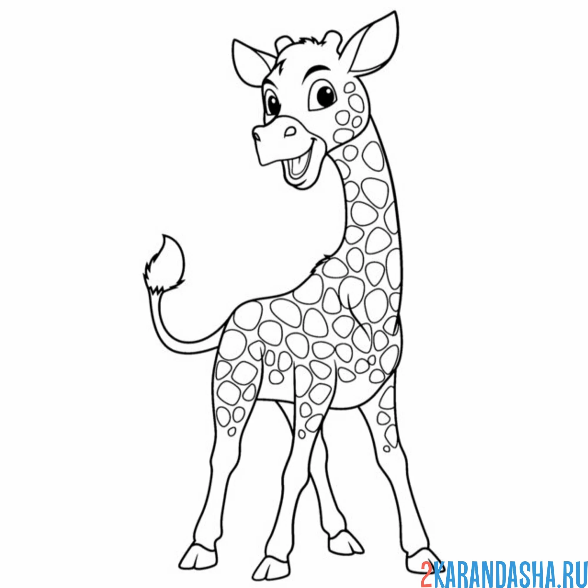 Раскраска очень хороший жираф