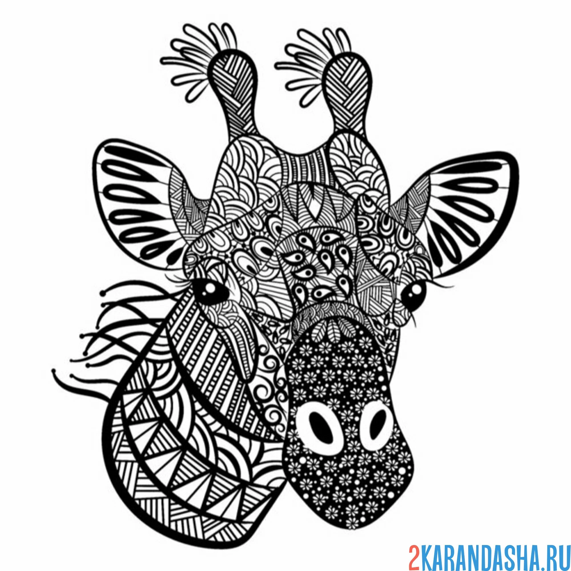 Раскраска голова жирафа антистресс узоры