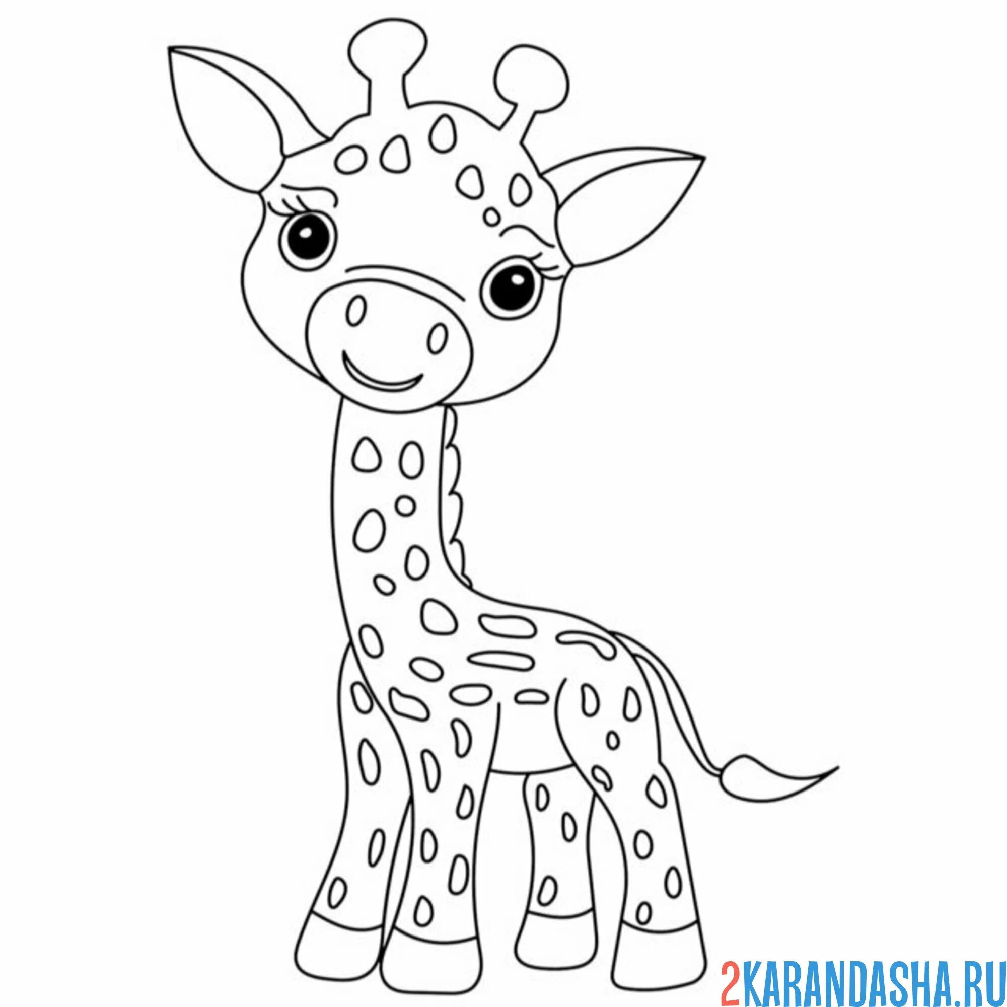 Раскраска миленький жиарф