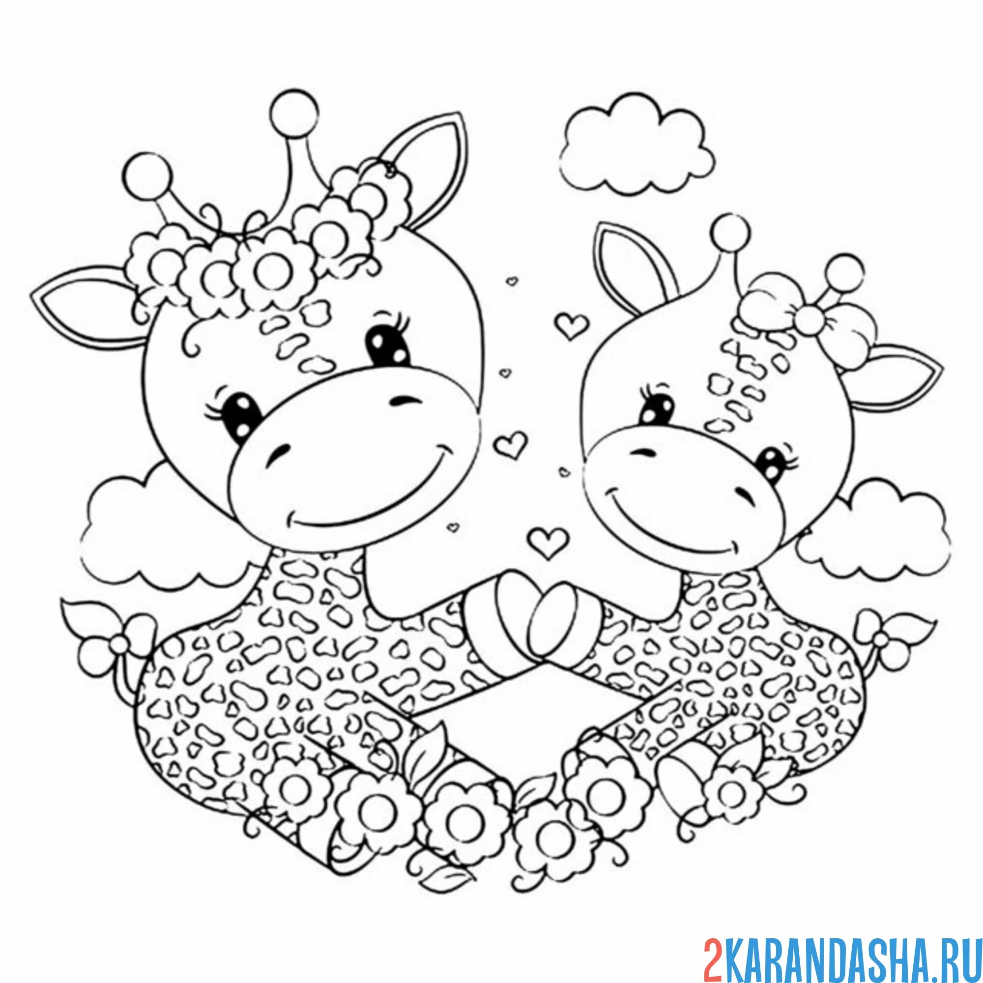 Раскраска два жирафика