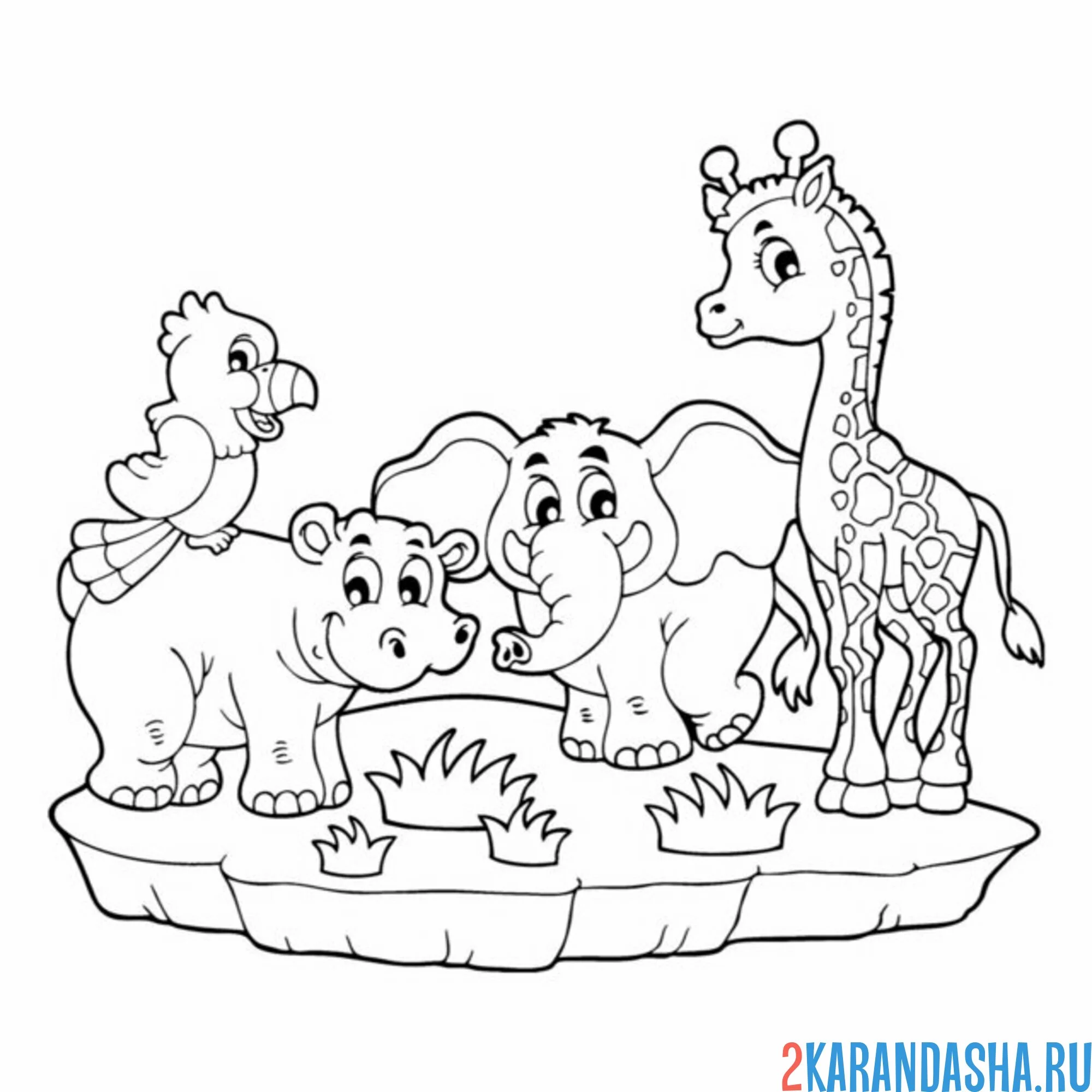 Раскраска жираф, слон, бегемот и попугай