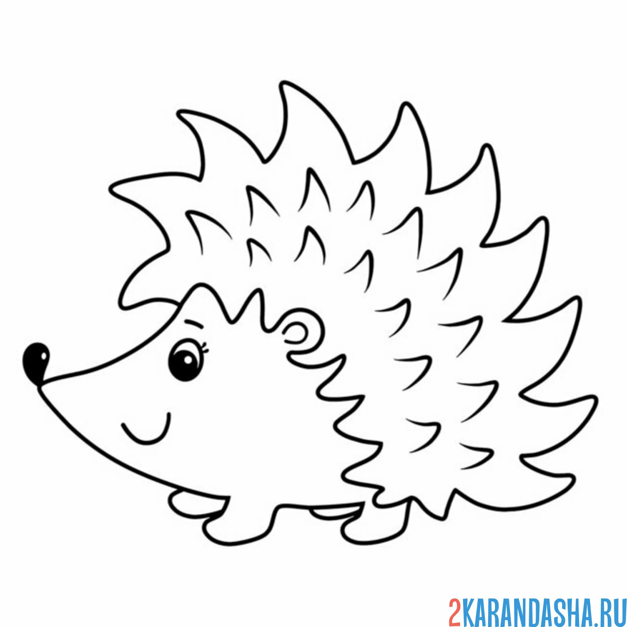 Раскраска ежик простой