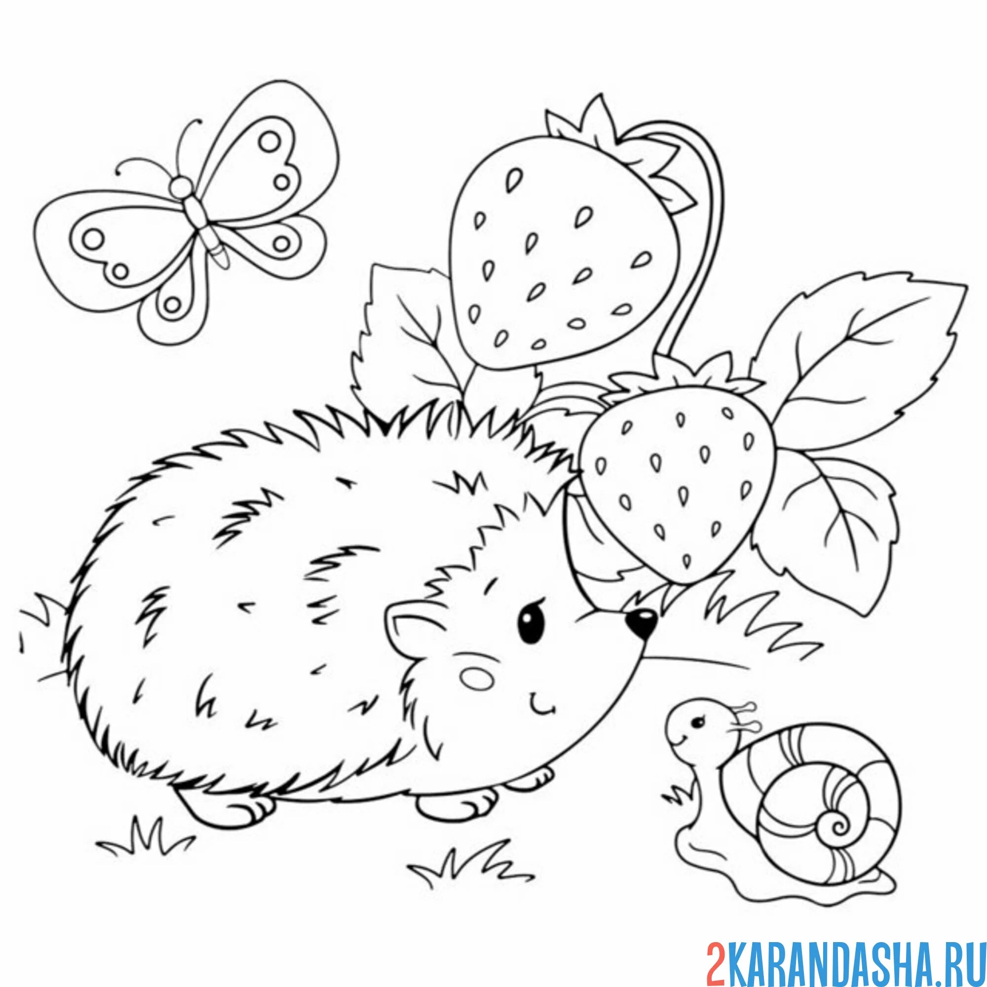 Раскраска ежик и улитка