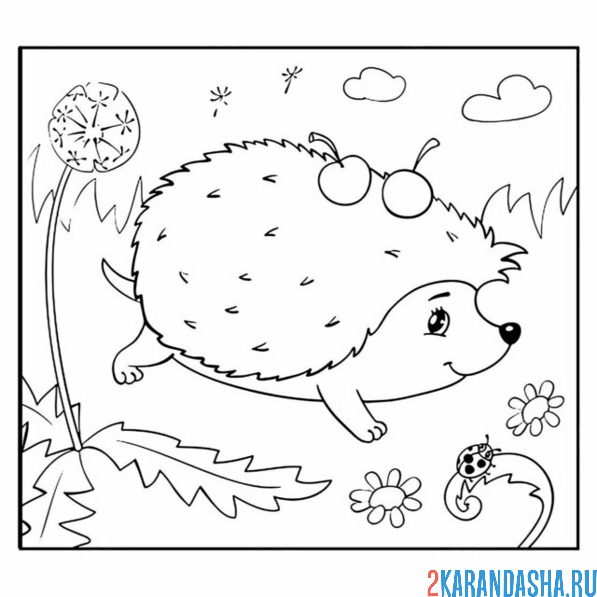 Раскраска ежик в травке