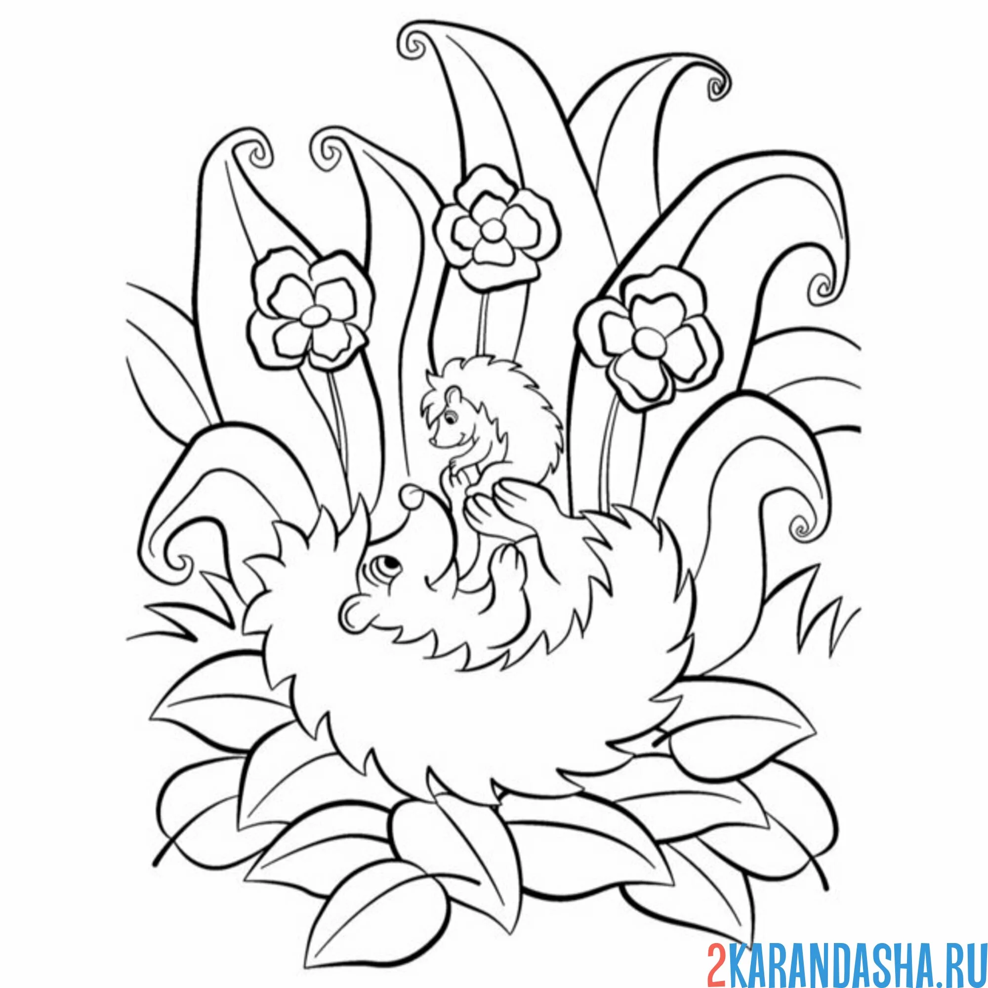 Раскраска ежик мама и малыш ежик