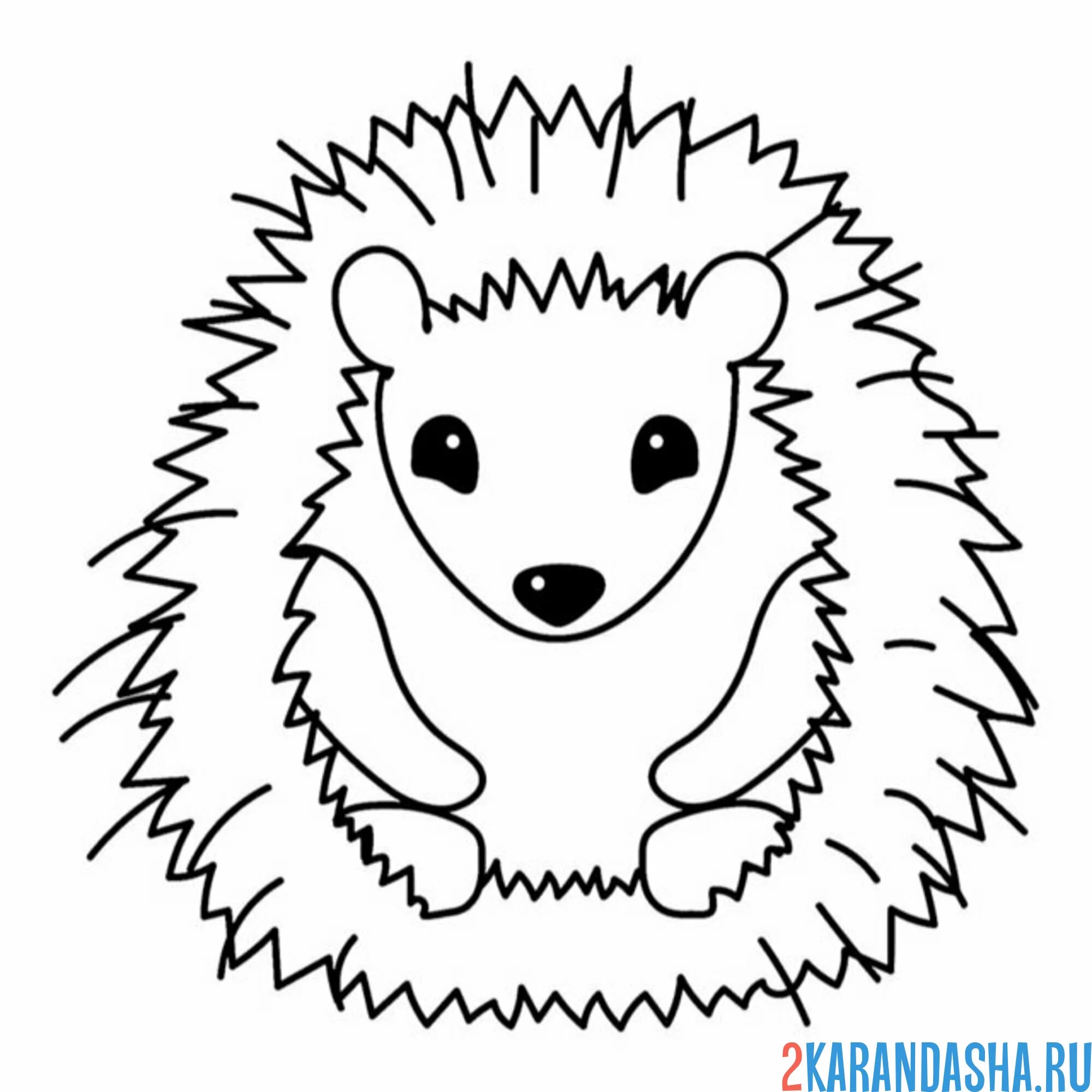 Раскраска ежик сидит