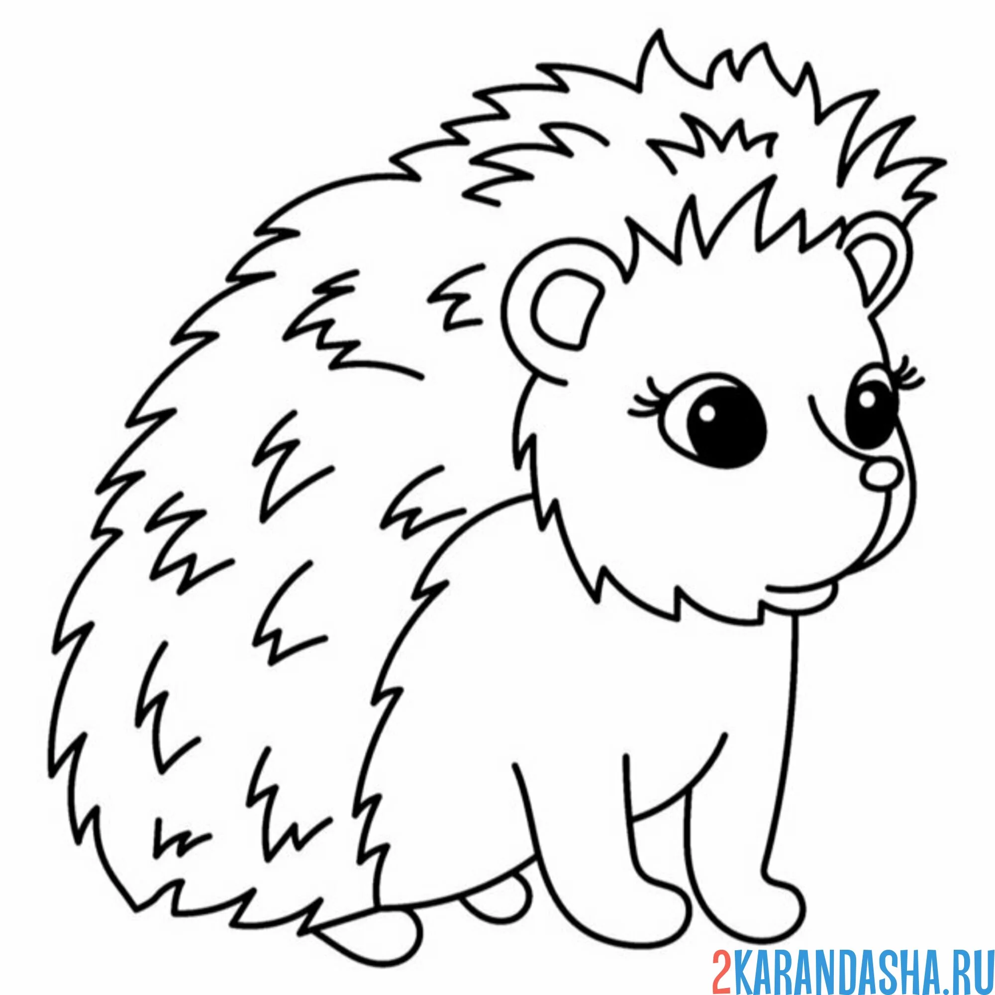 Раскраска еж что-то увидел