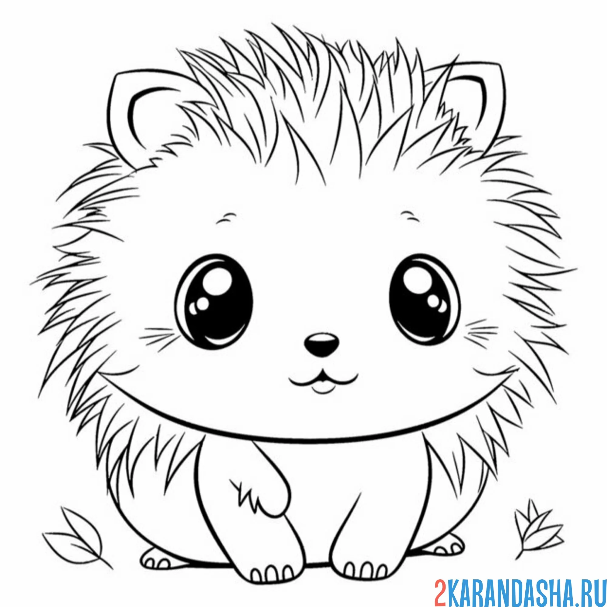 Раскраска иллюстрация ежик