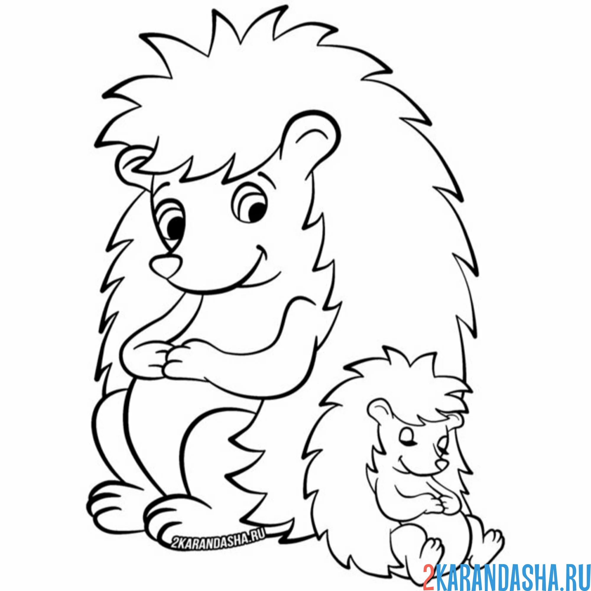 Раскраска мама ежик и ее ежонок