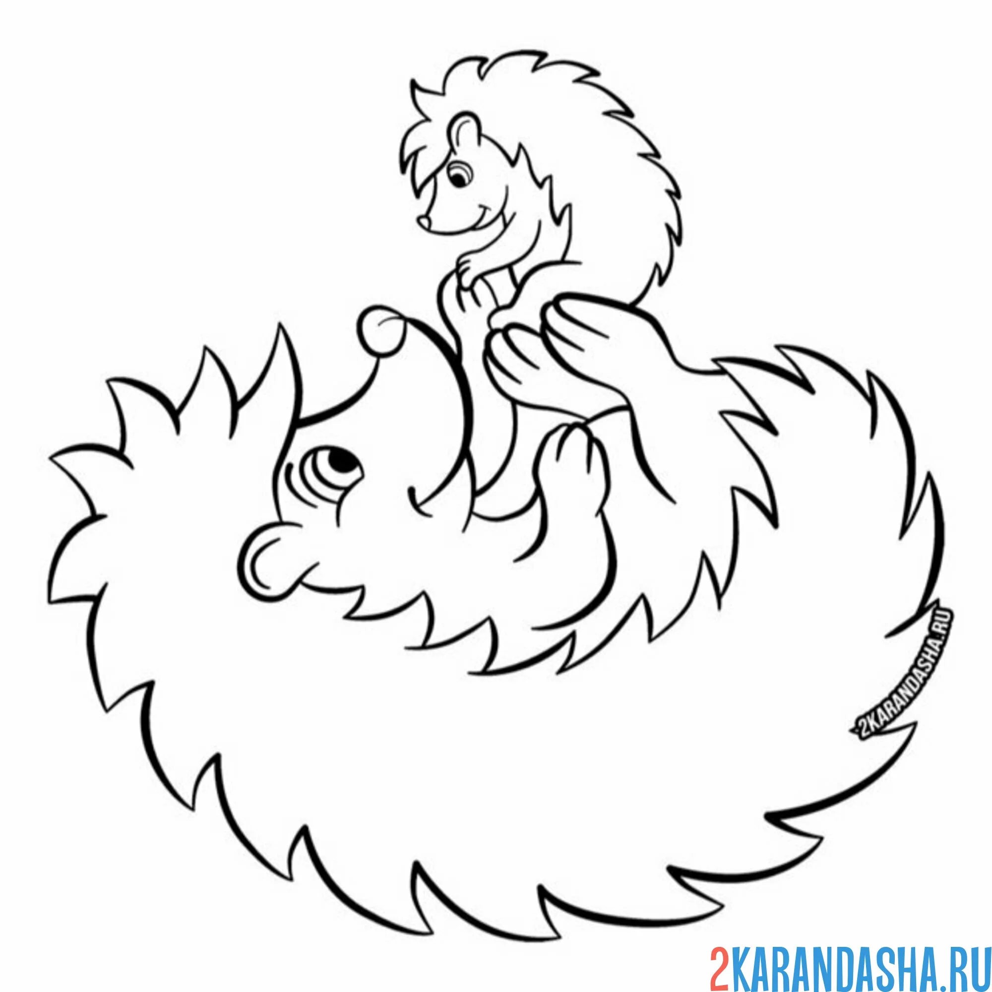 Раскраска мама ежик играет с ежонком