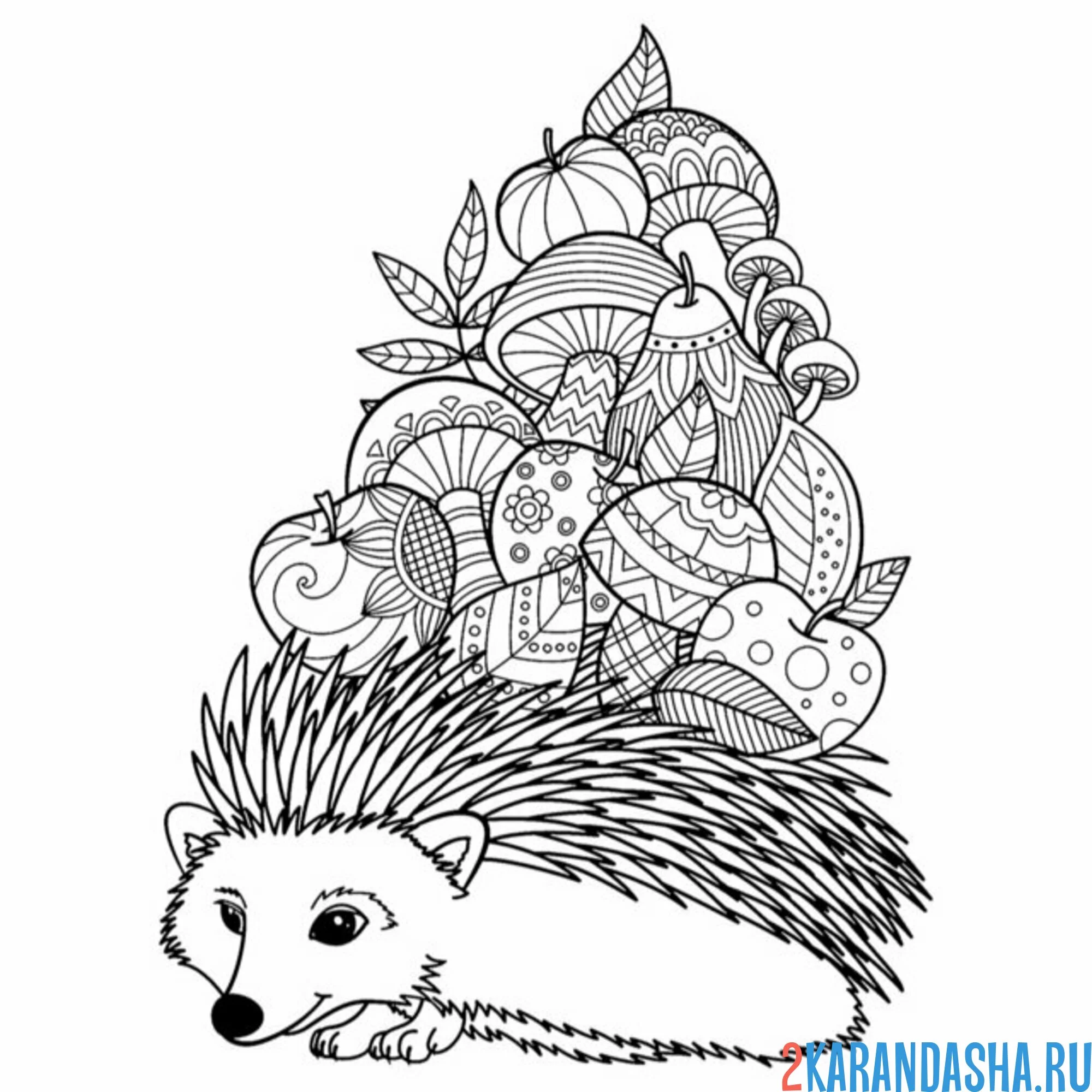 Раскраска ежик антистресс фрукты