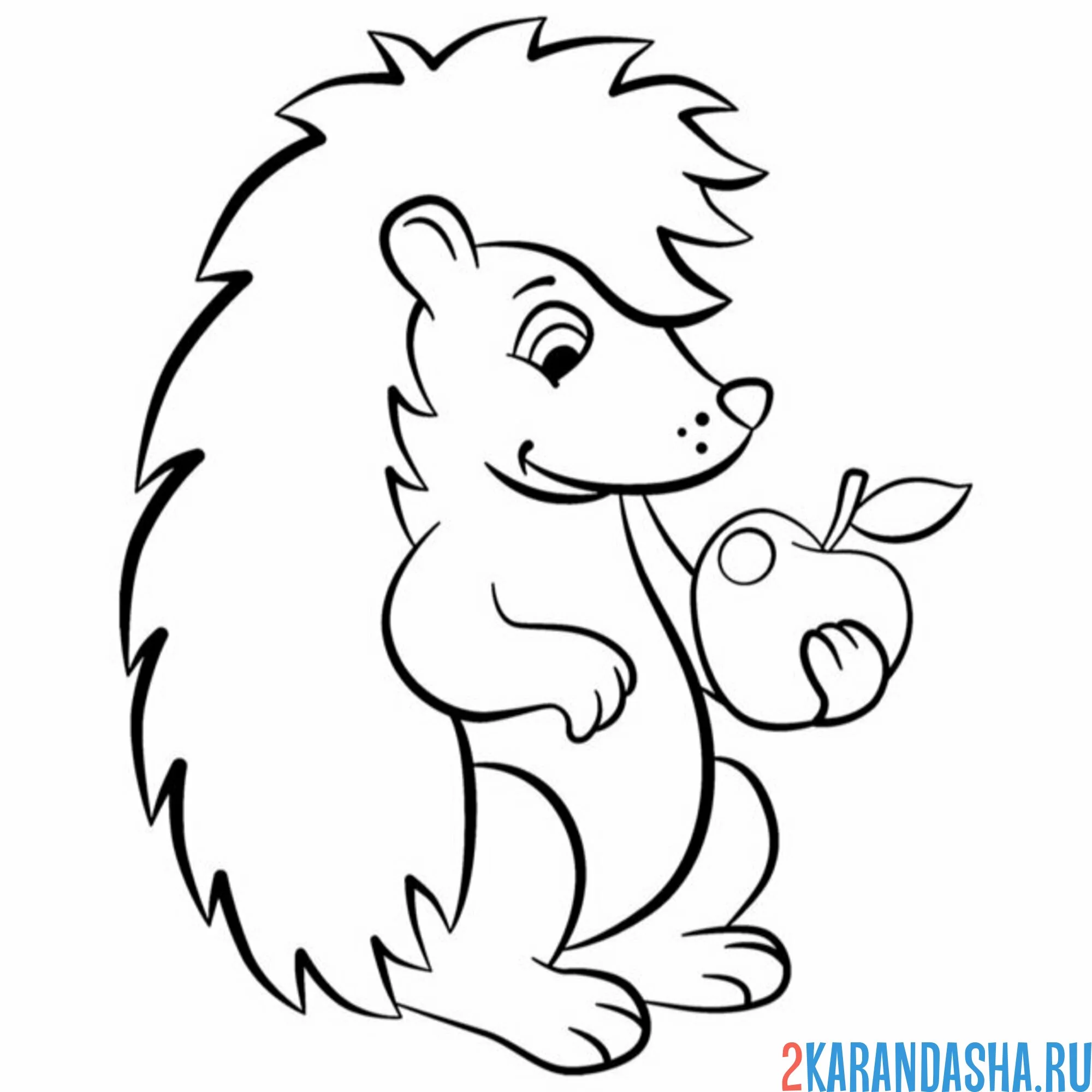 Раскраска ежик ест яблоко