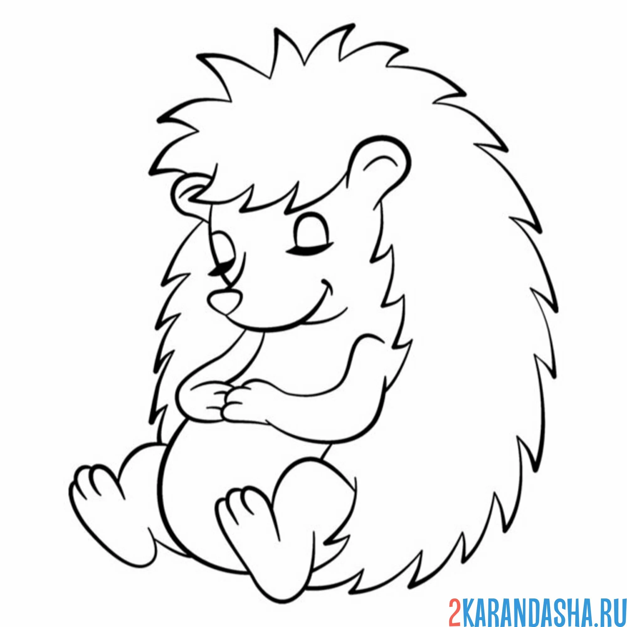 Раскраска ежик спт