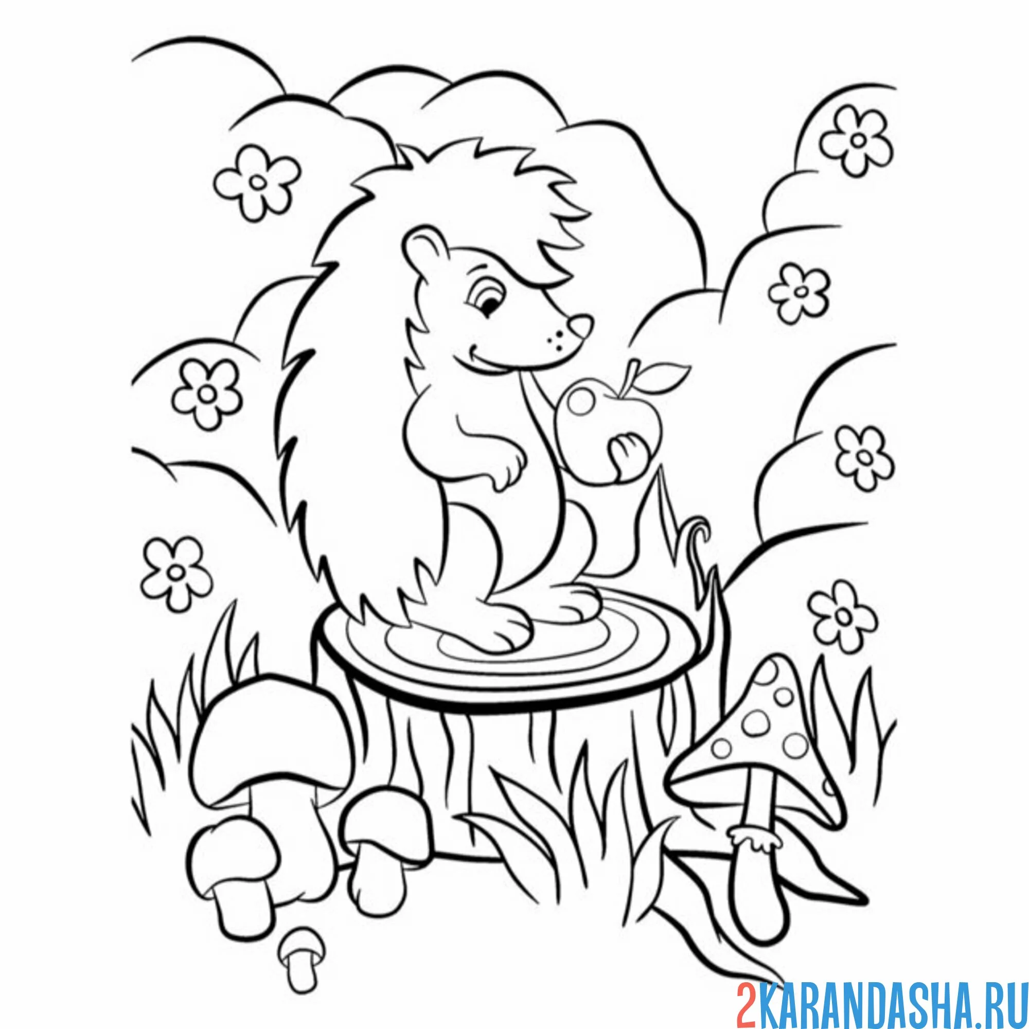 Раскраска ежик на пеньке