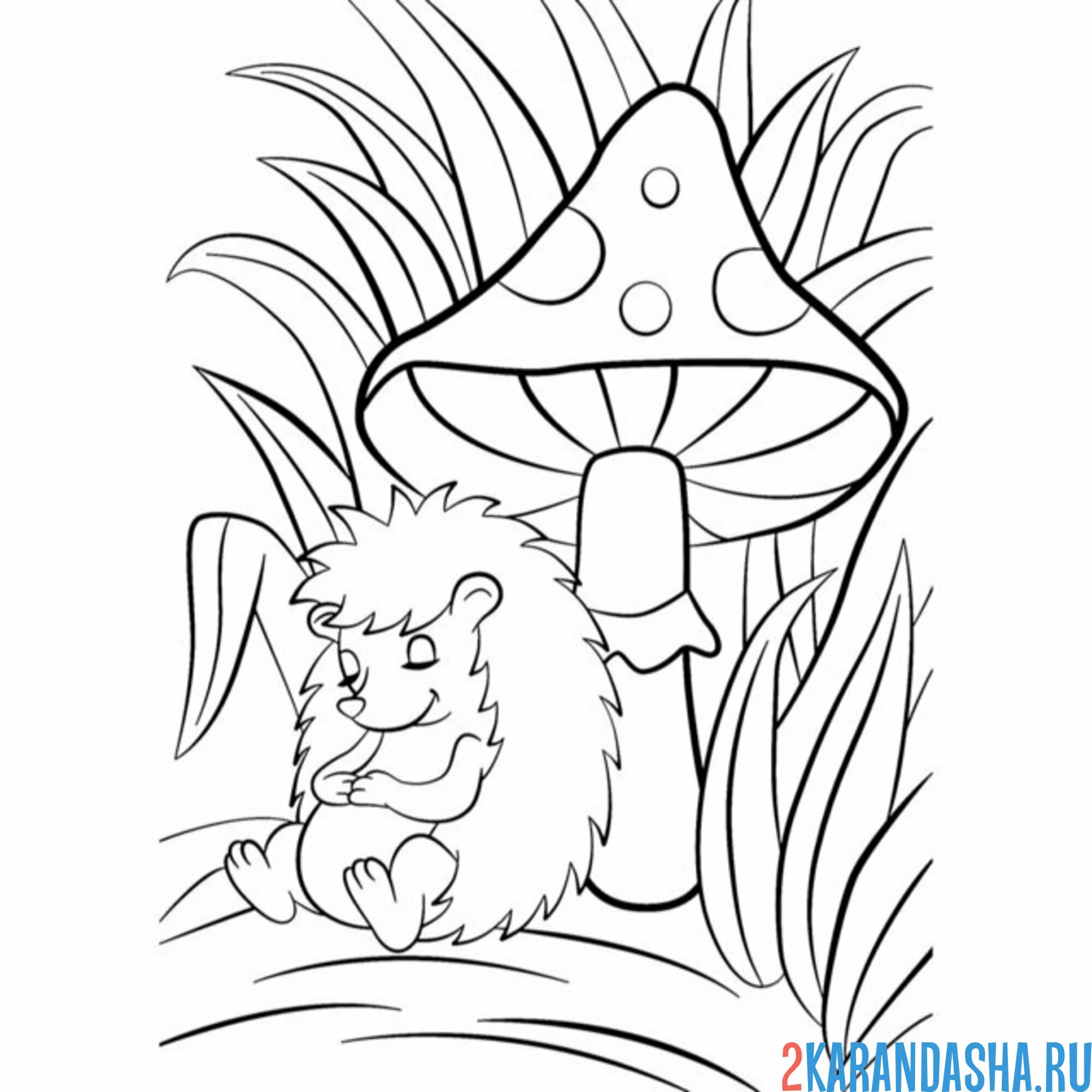 Раскраска ежик спит под грибом