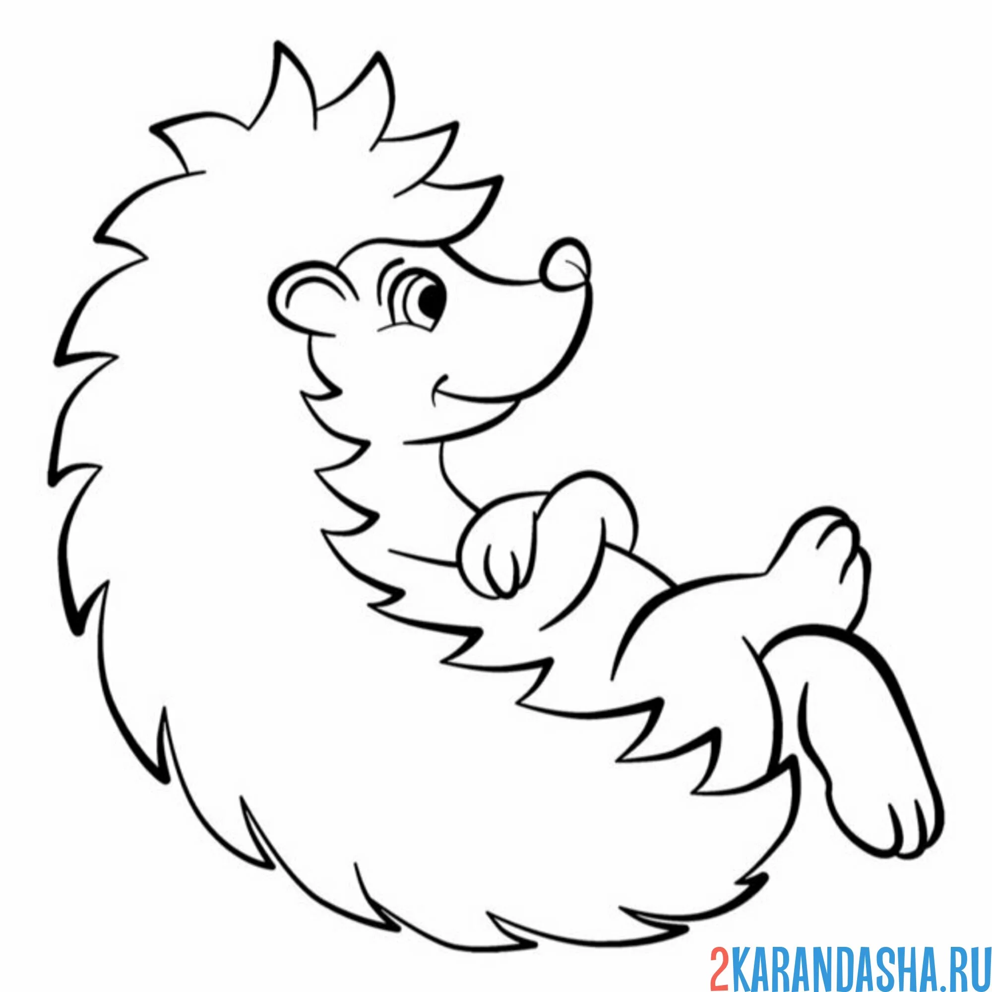 Раскраска деловой ежик