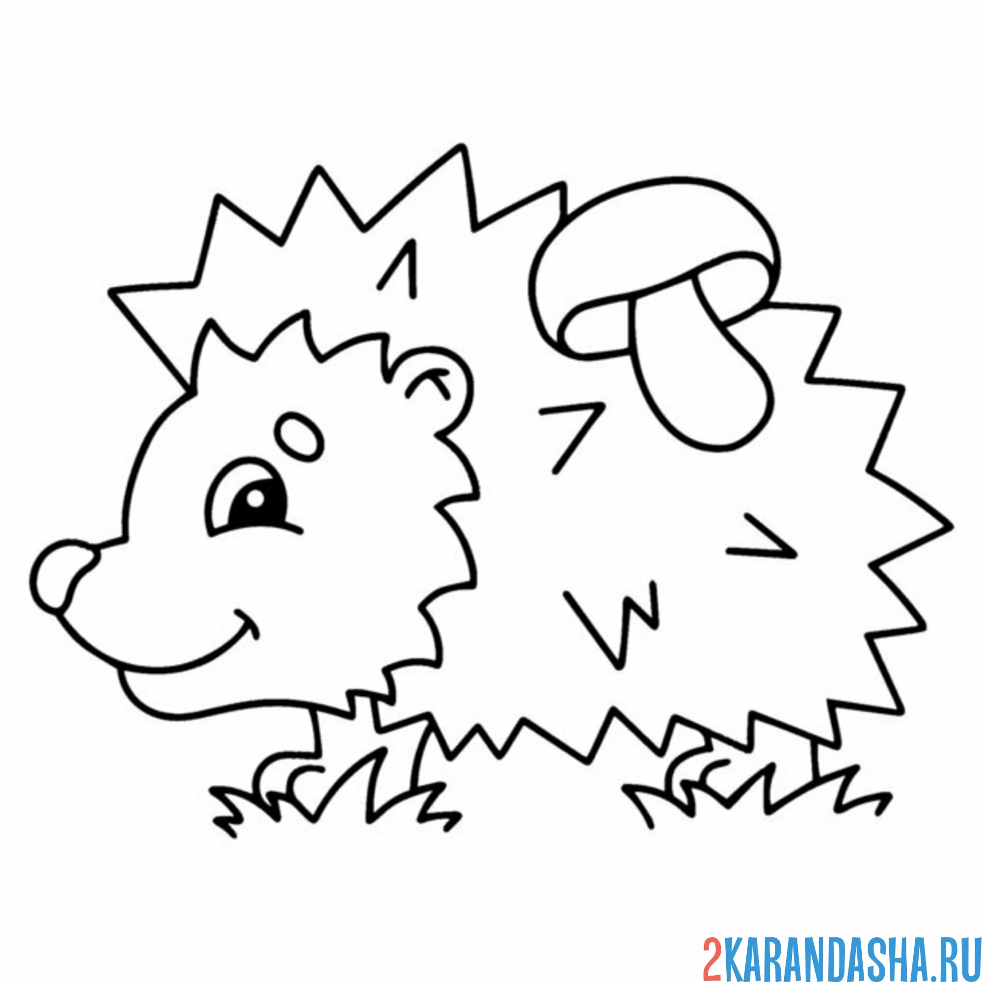 Раскраска ежик и гриб на спинке