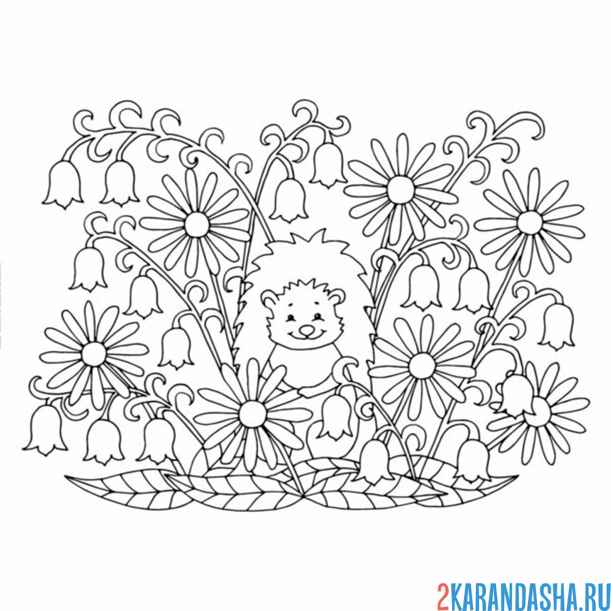 Раскраска ежик в ландышах